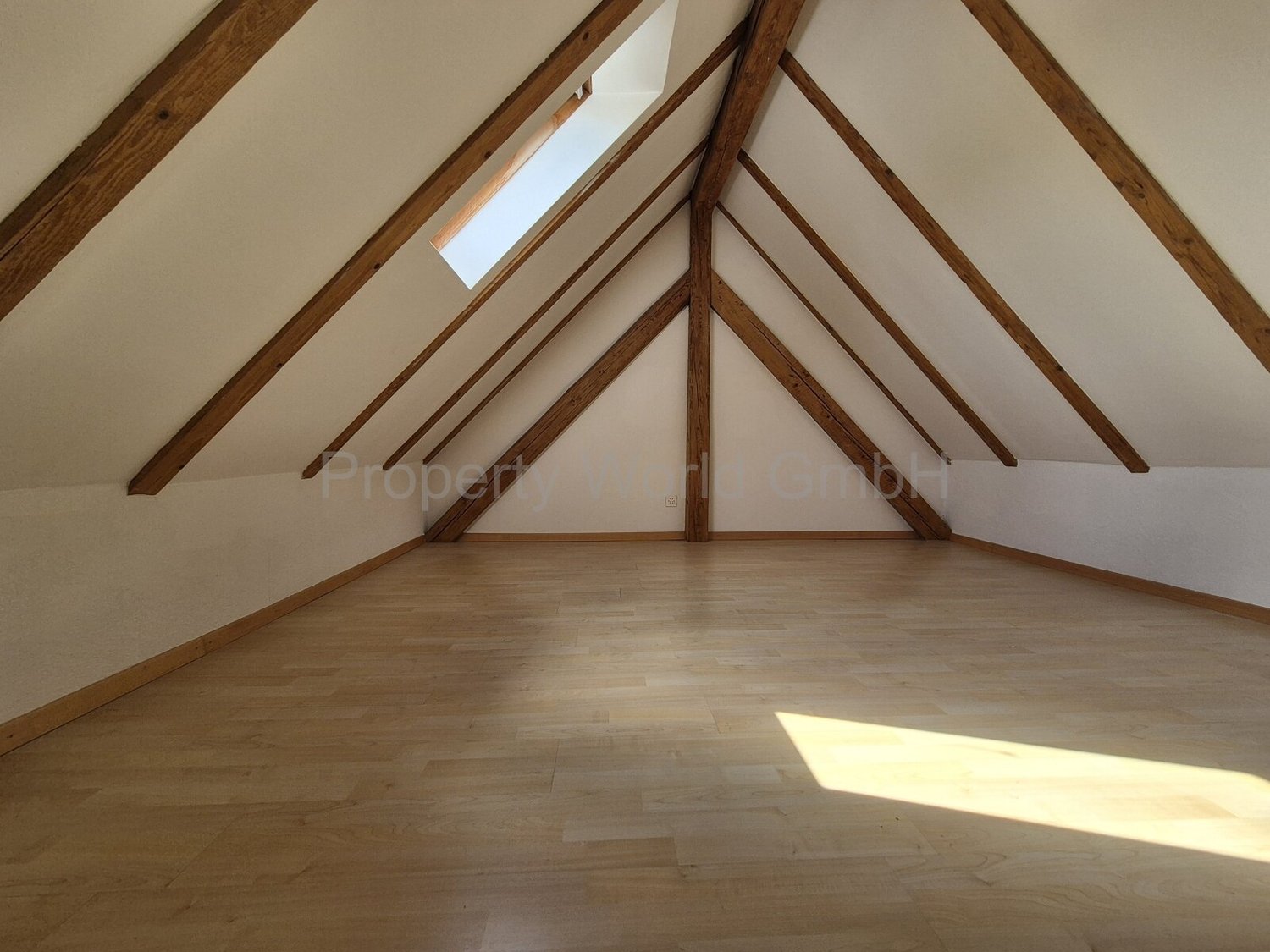 4 ½ pièces appartement au dernier étage