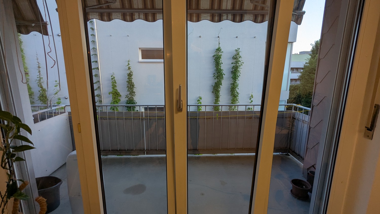 Appartement de 3 ½ pièces, photo 6 sur 6