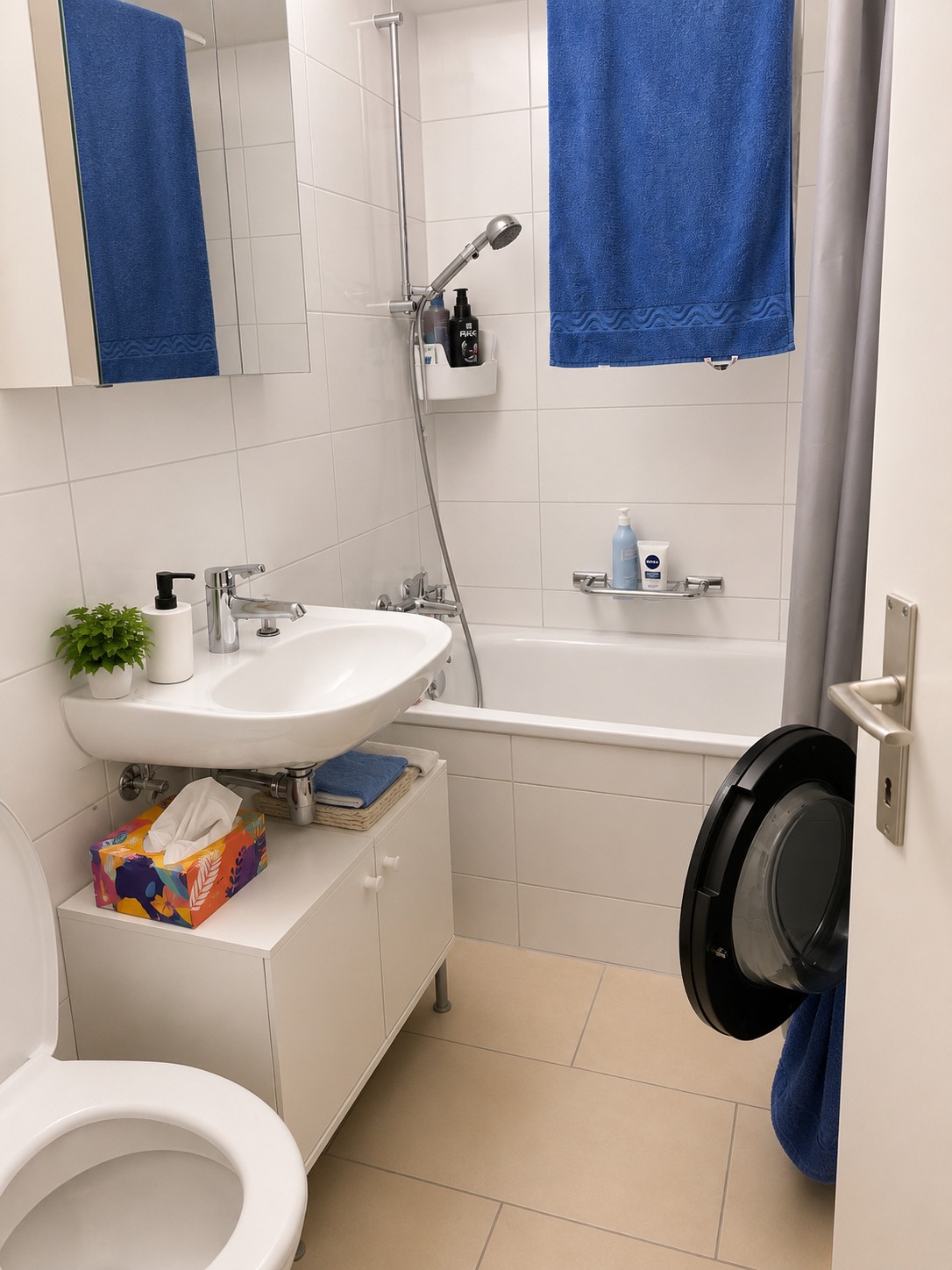2 ½ rooms apartment