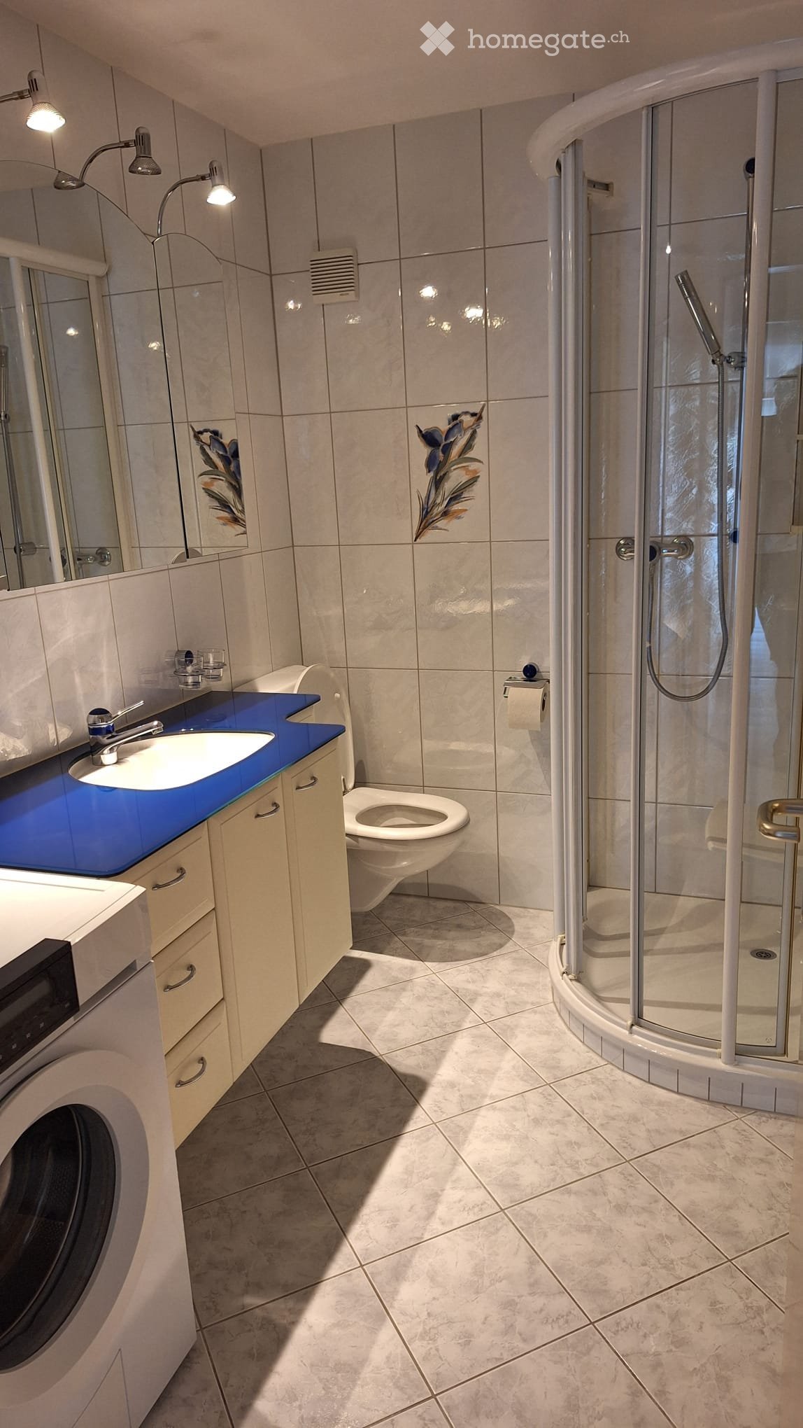 5 ½ rooms apartment