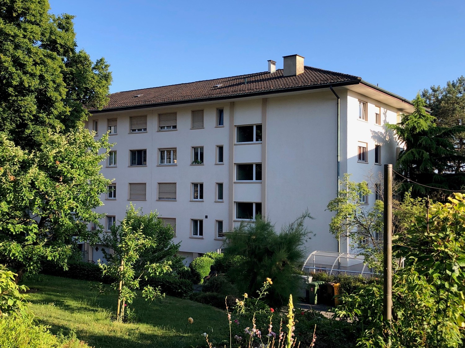 Stanze in appartamento condiviso