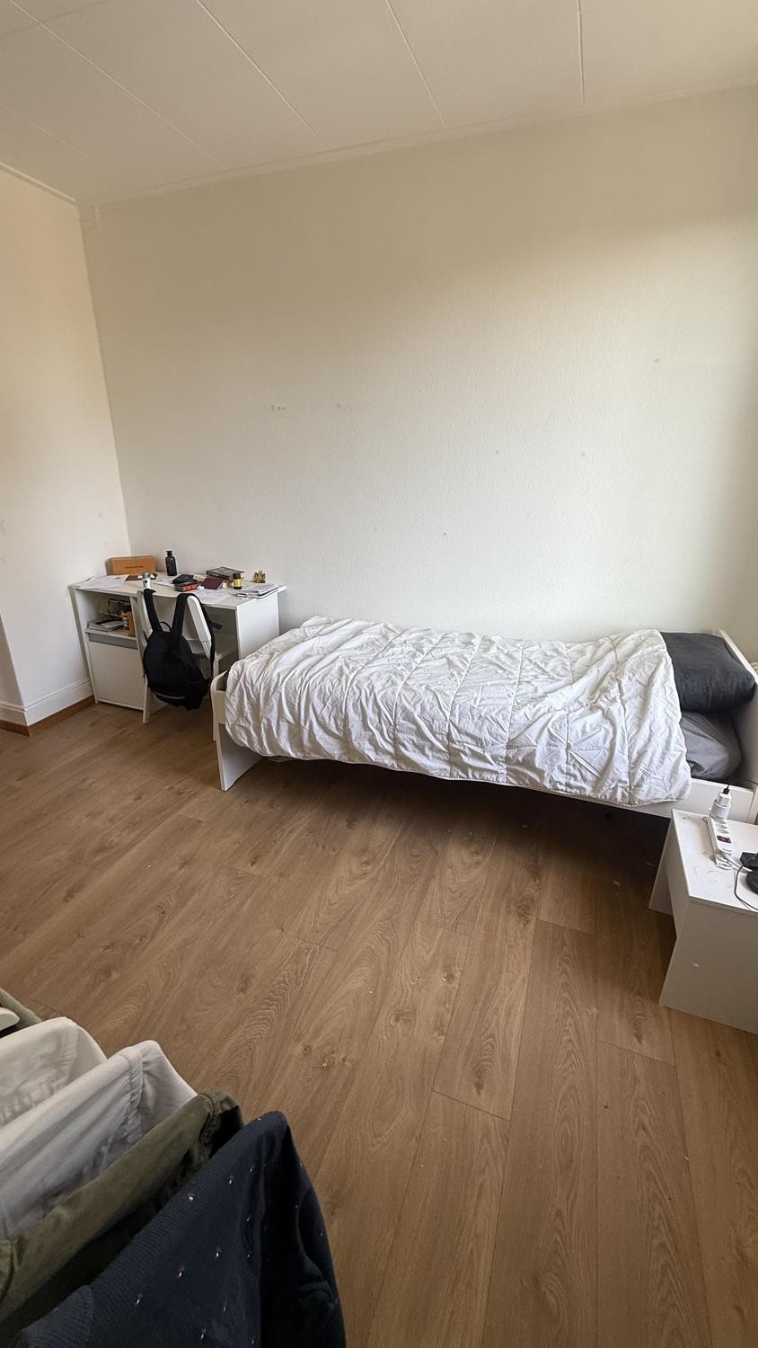 Chambre dans une colocation