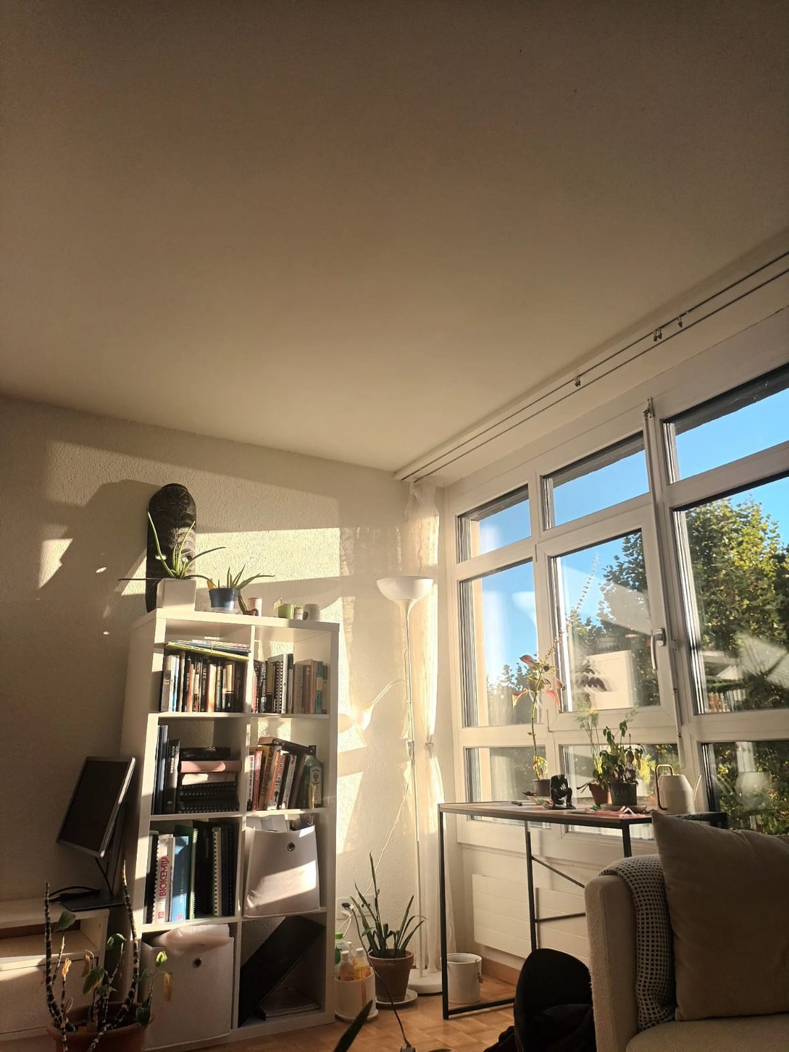 Chambre en colocation