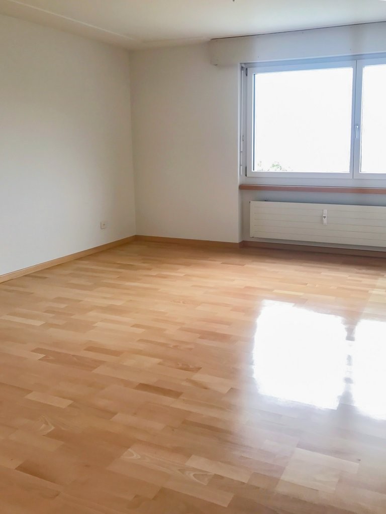 Appartamento di 4 ½ locali