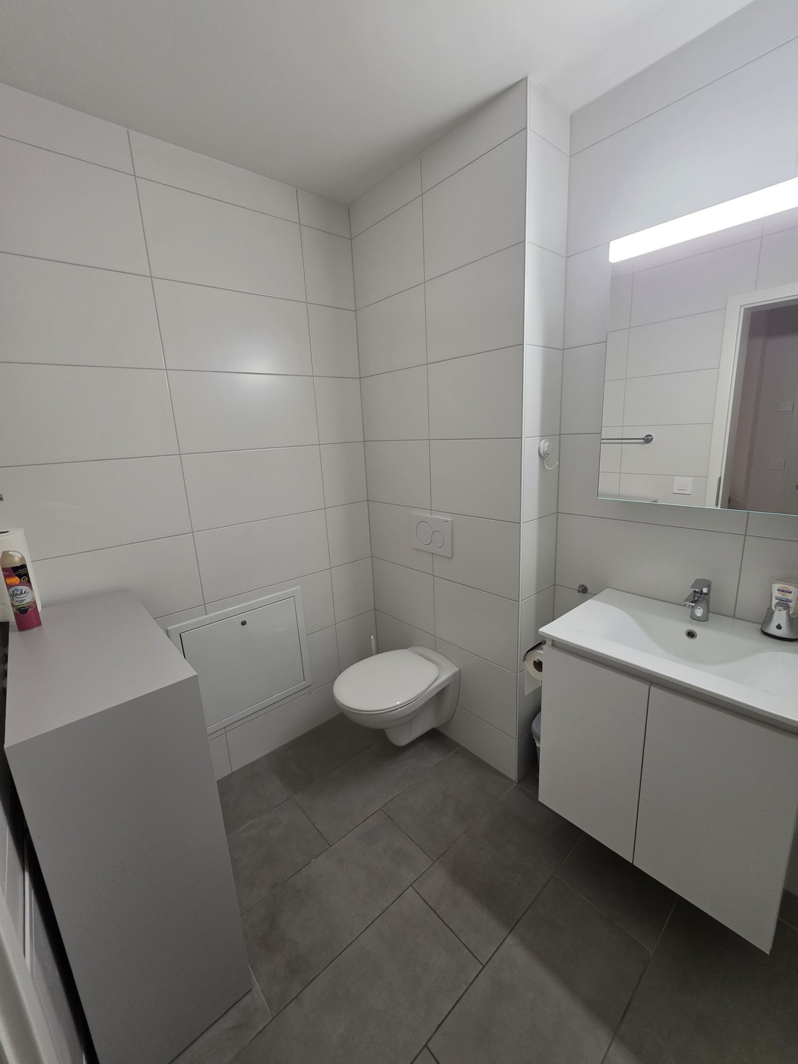 Appartamento di 2 ½ locali