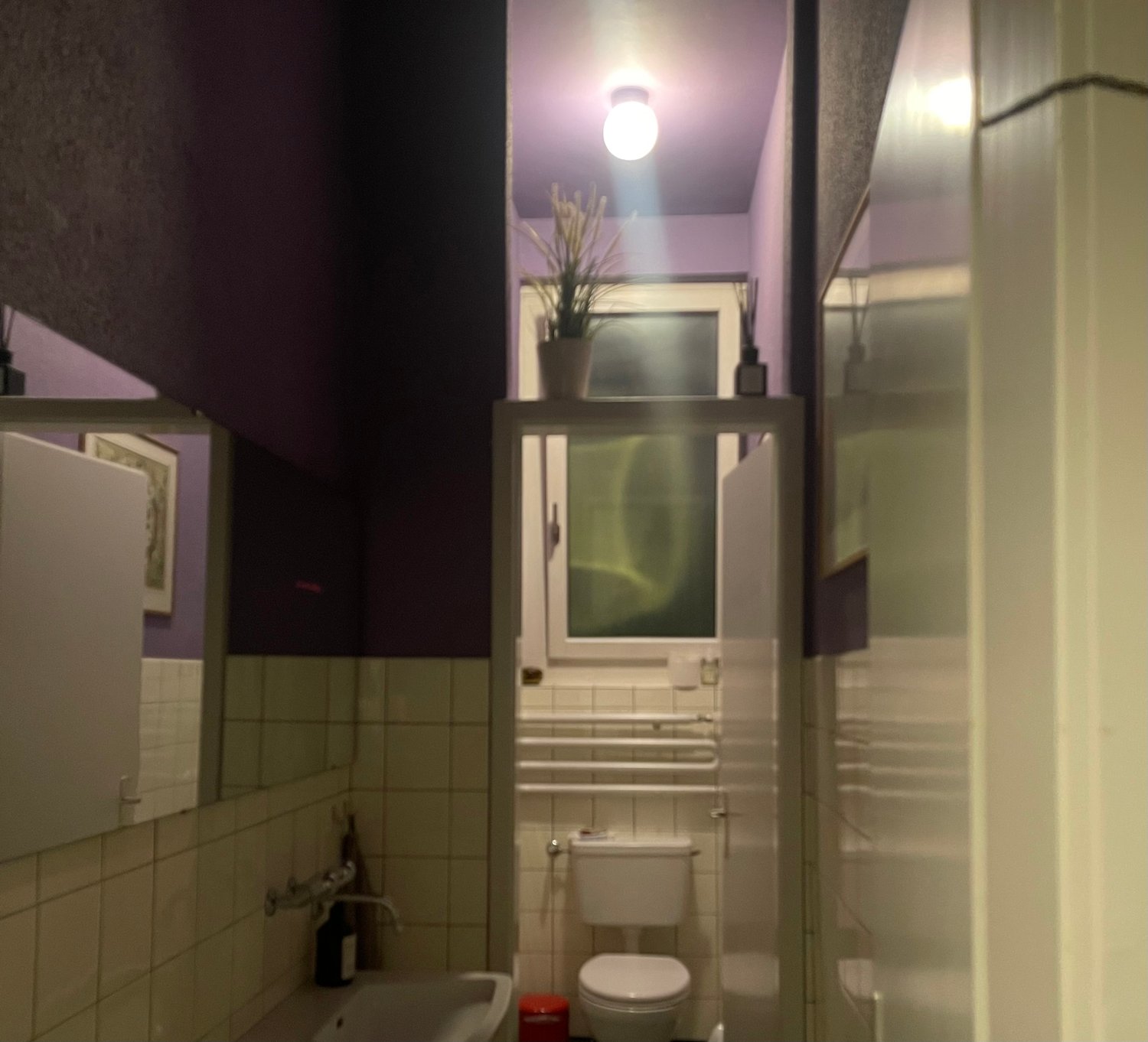 Room in a shared flat