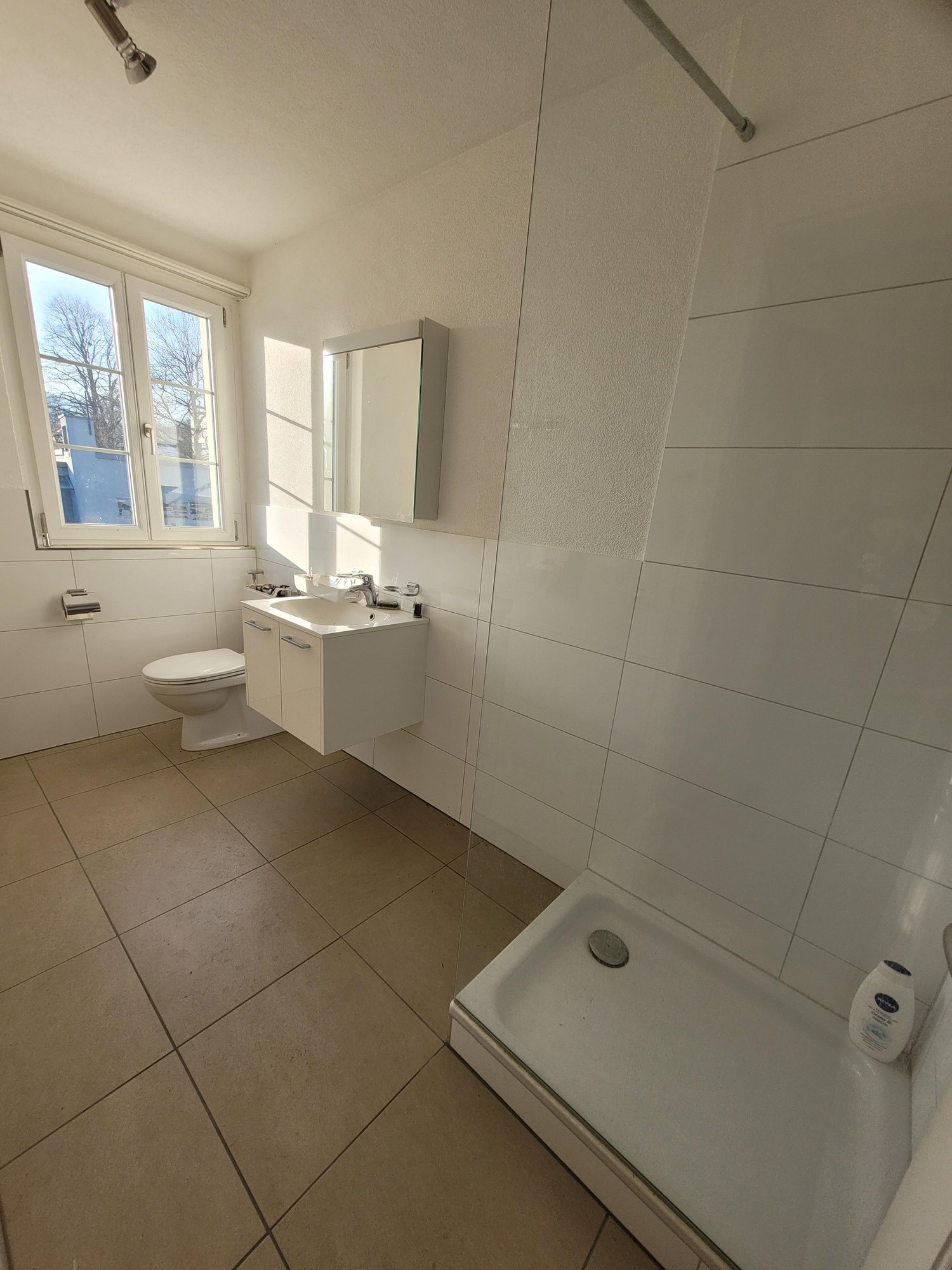 2 ½ rooms apartment, Foto 5 von 5
