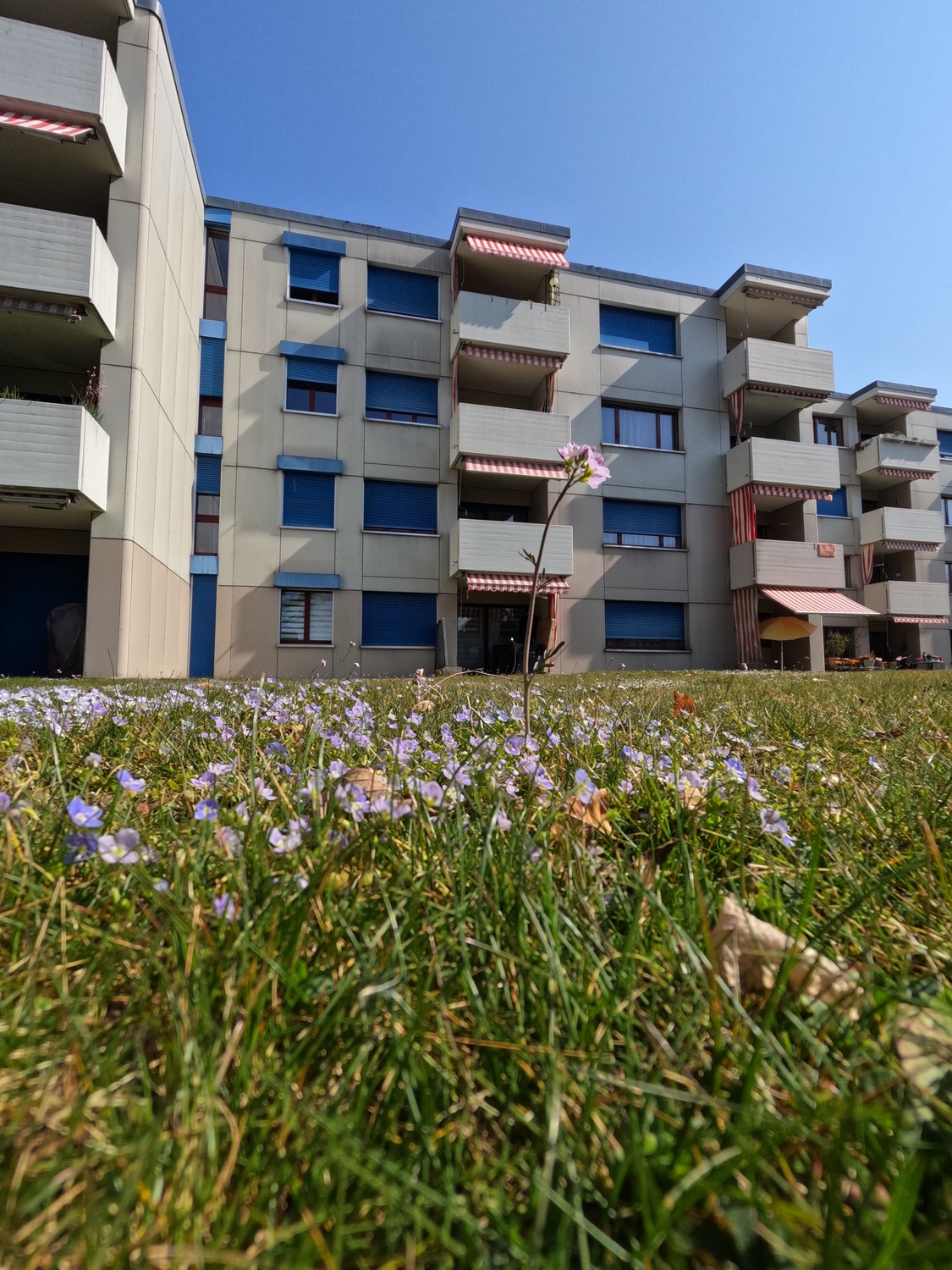 Appartamento di 4 ½ locali