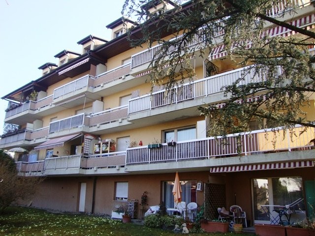 2 ½ Zimmer-Wohnung