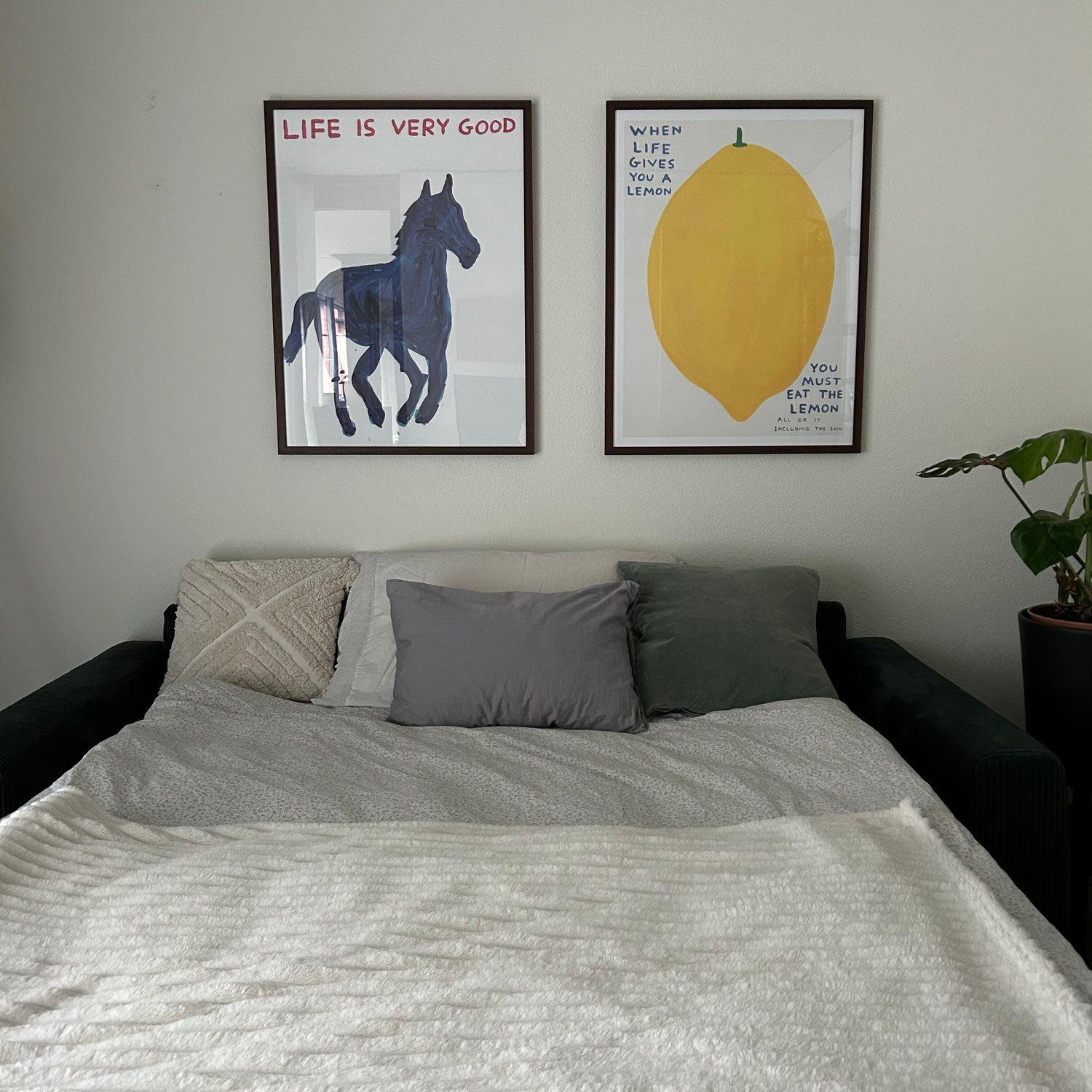 Room in a shared flat
