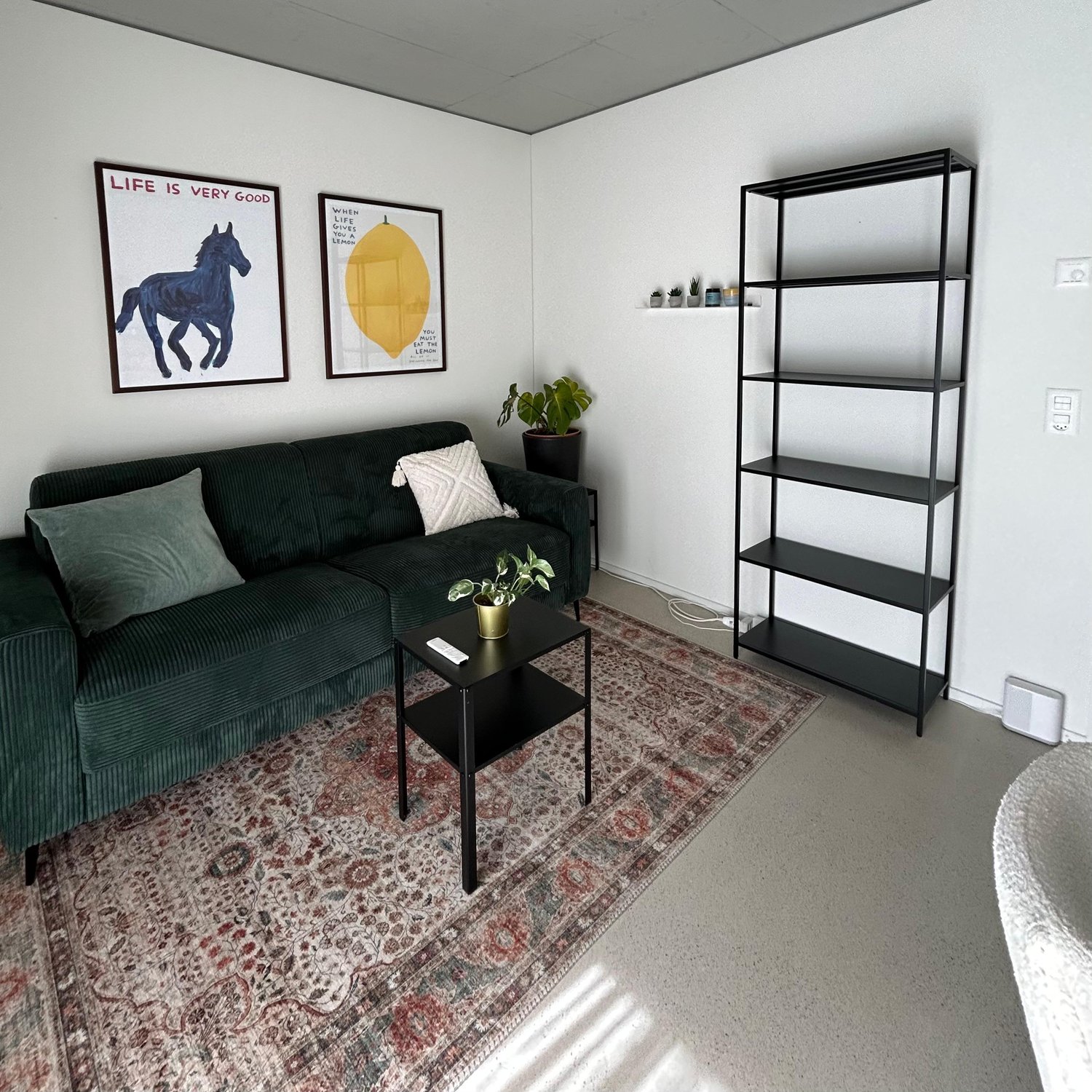 Room in a shared flat