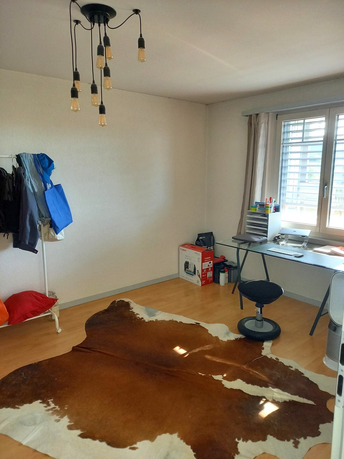 Room in a shared flat