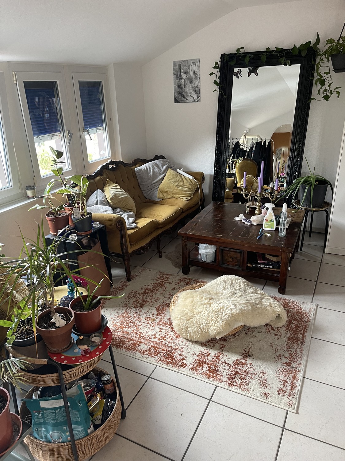 Room in a shared flat