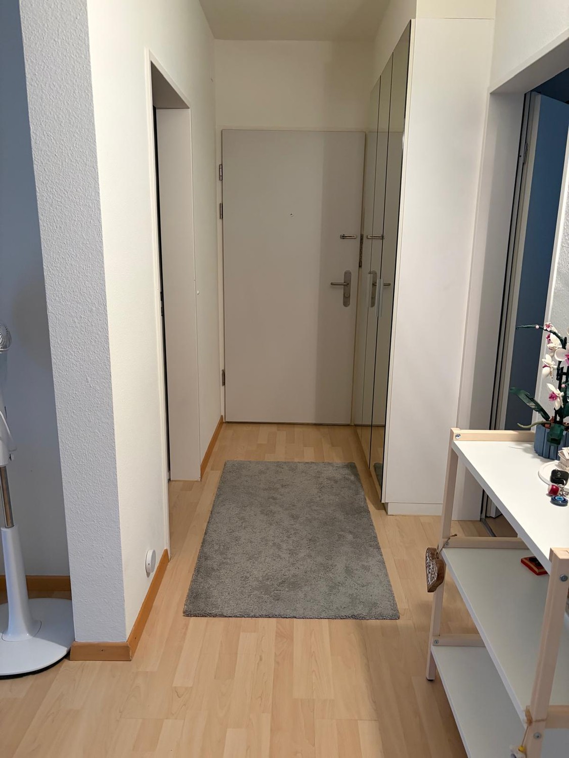 3 rooms apartment