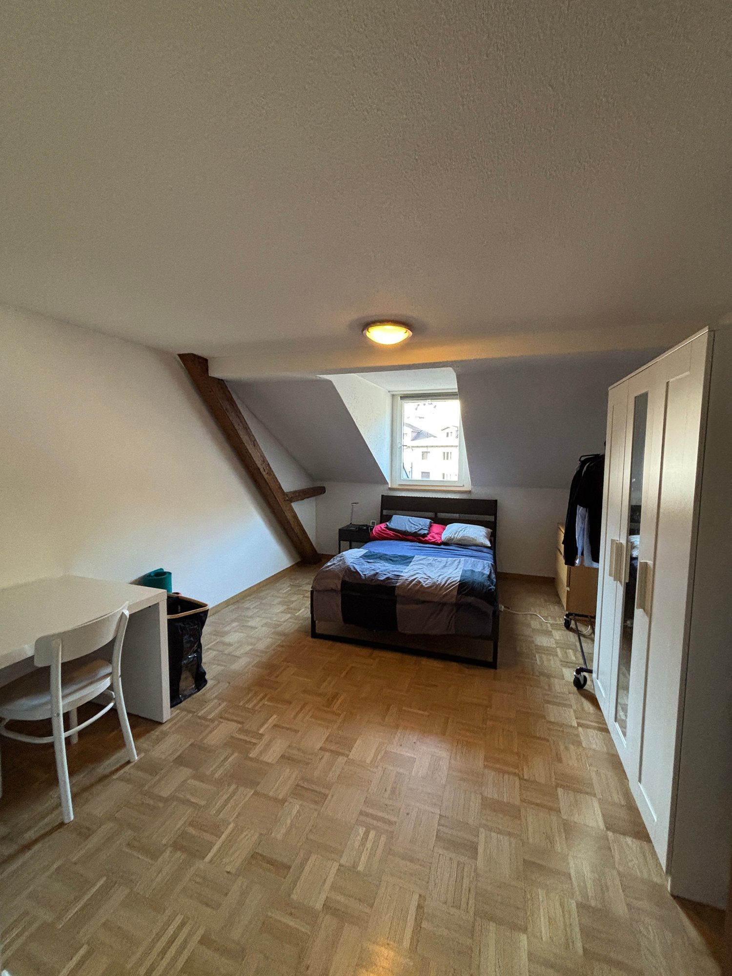 Room in a shared flat