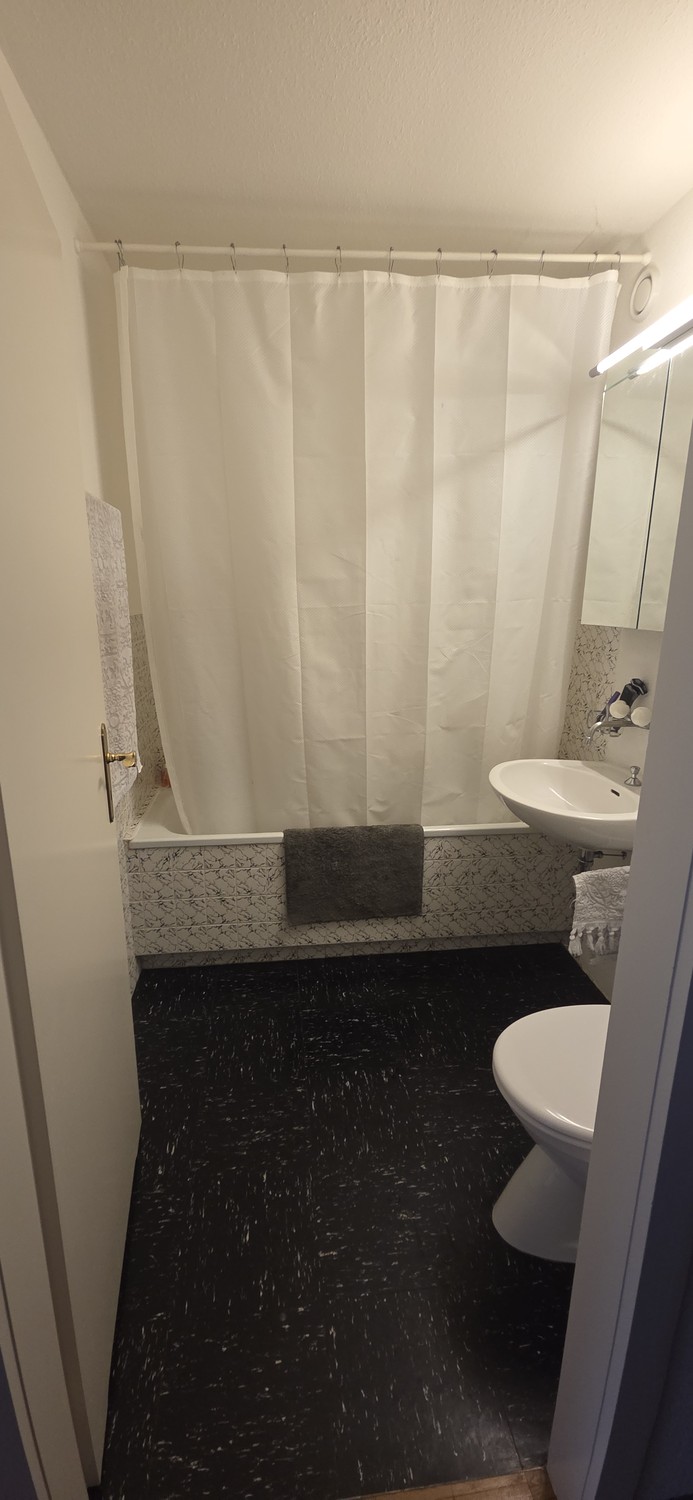2 ½ rooms apartment, Foto 4 von 7