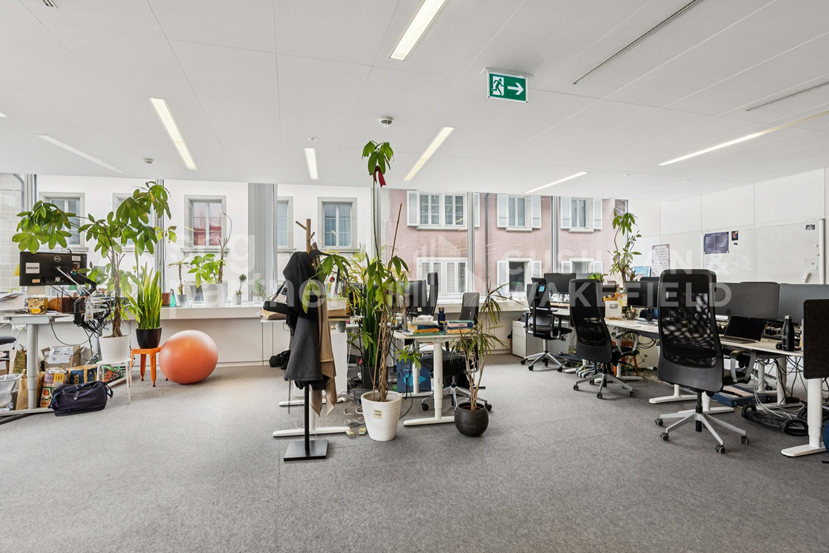 650m² Büro