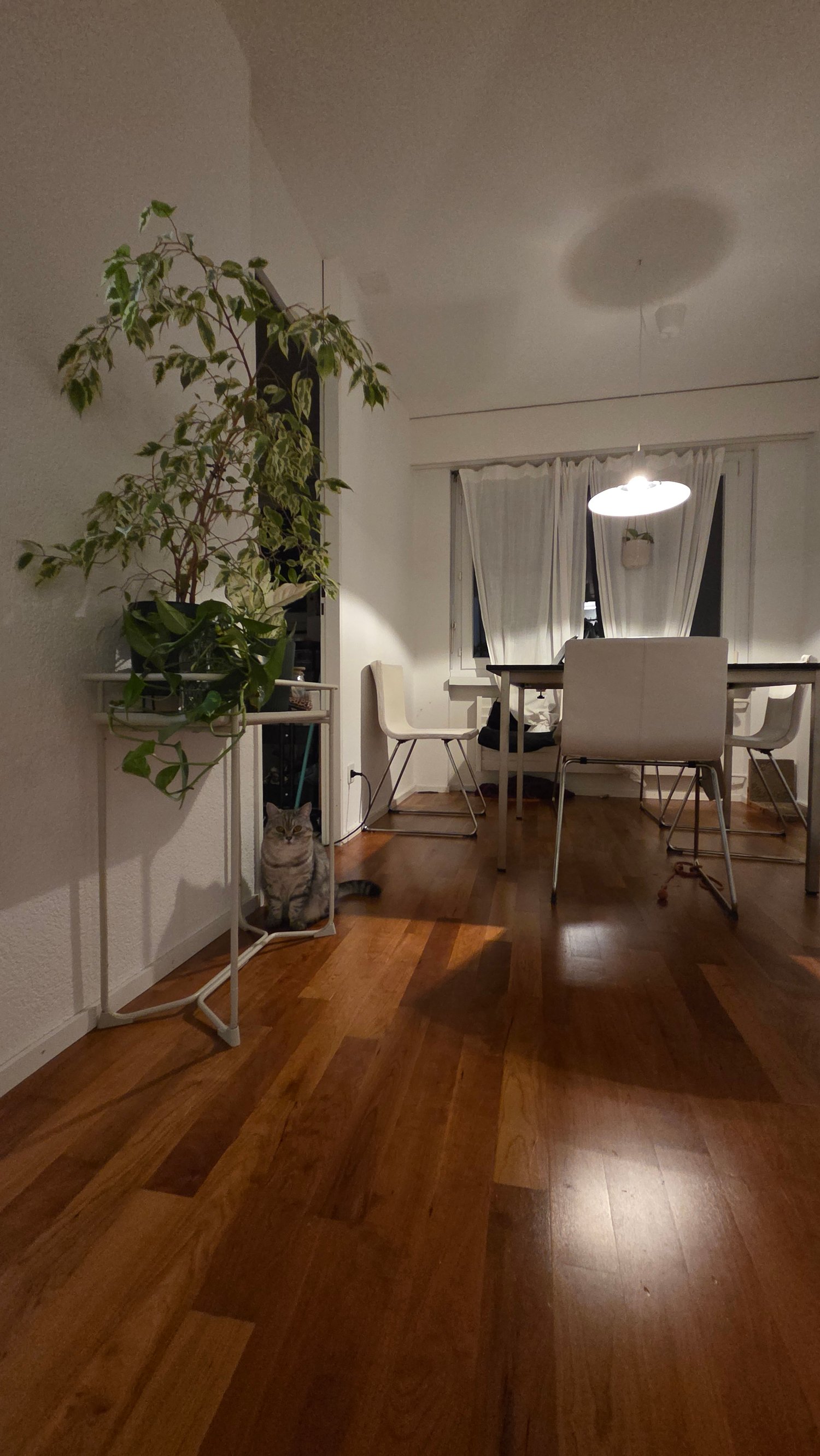 Room in a shared flat, Foto 3 von 6
