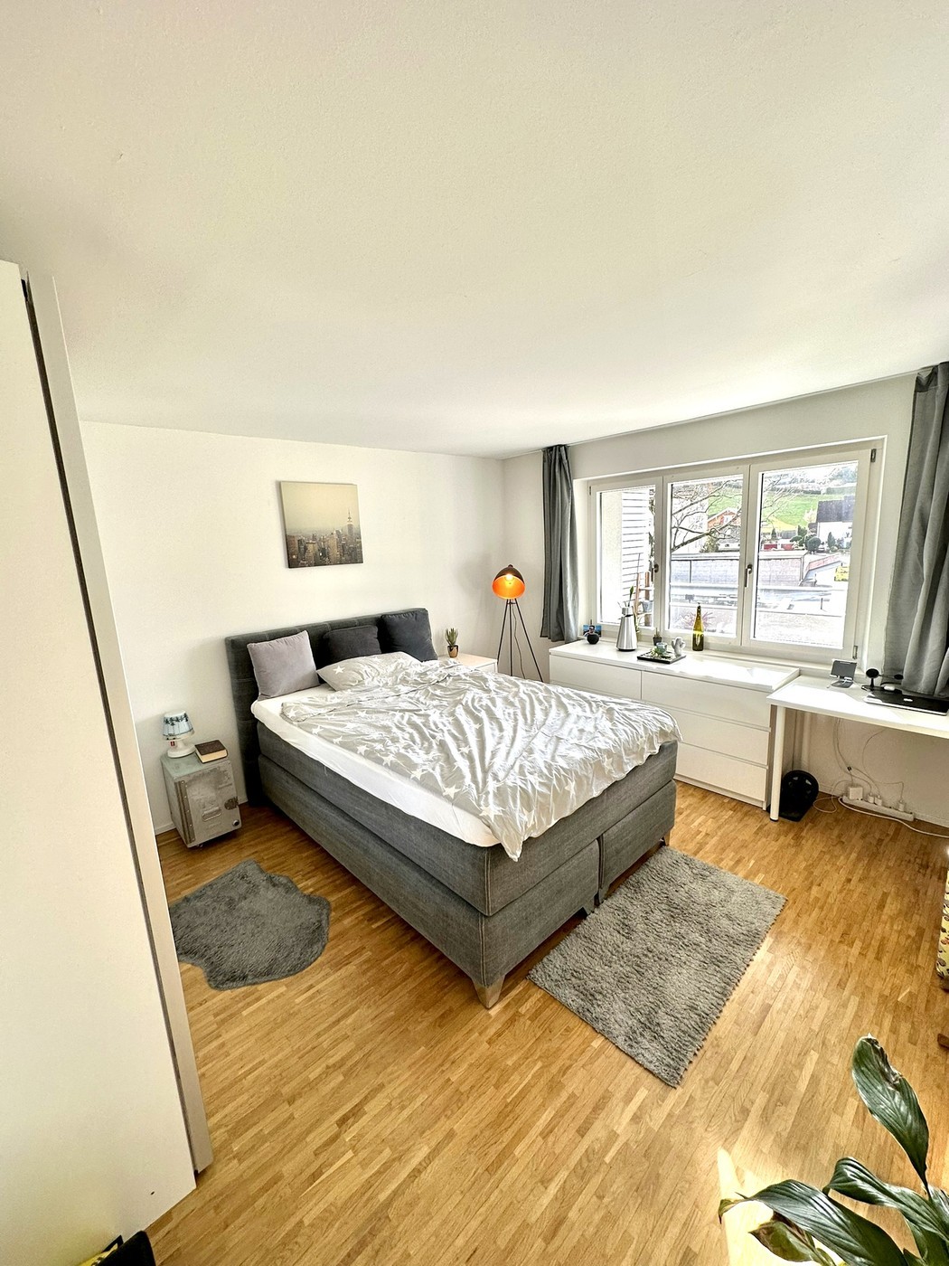 Room in a shared flat