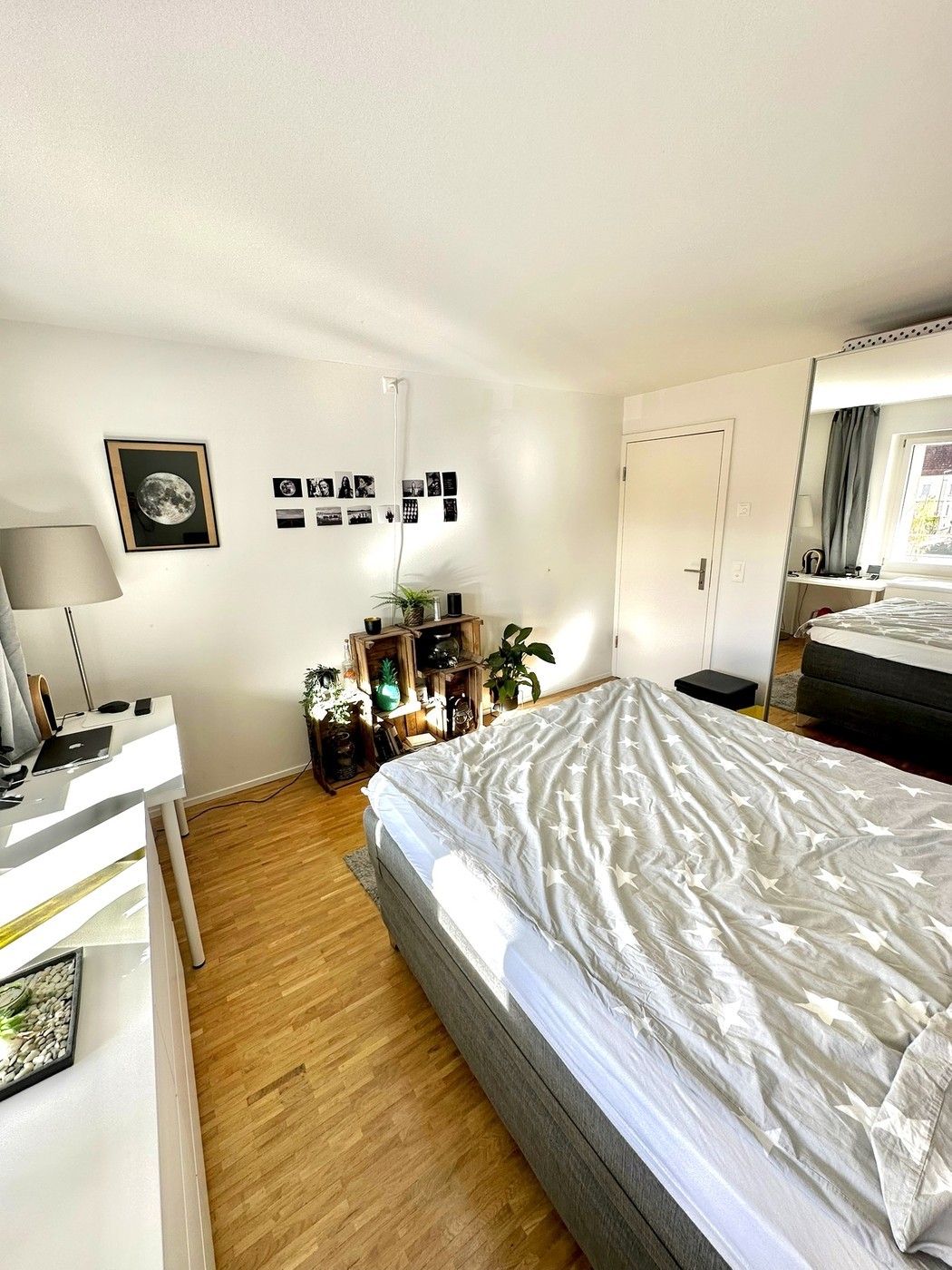 Room in a shared flat