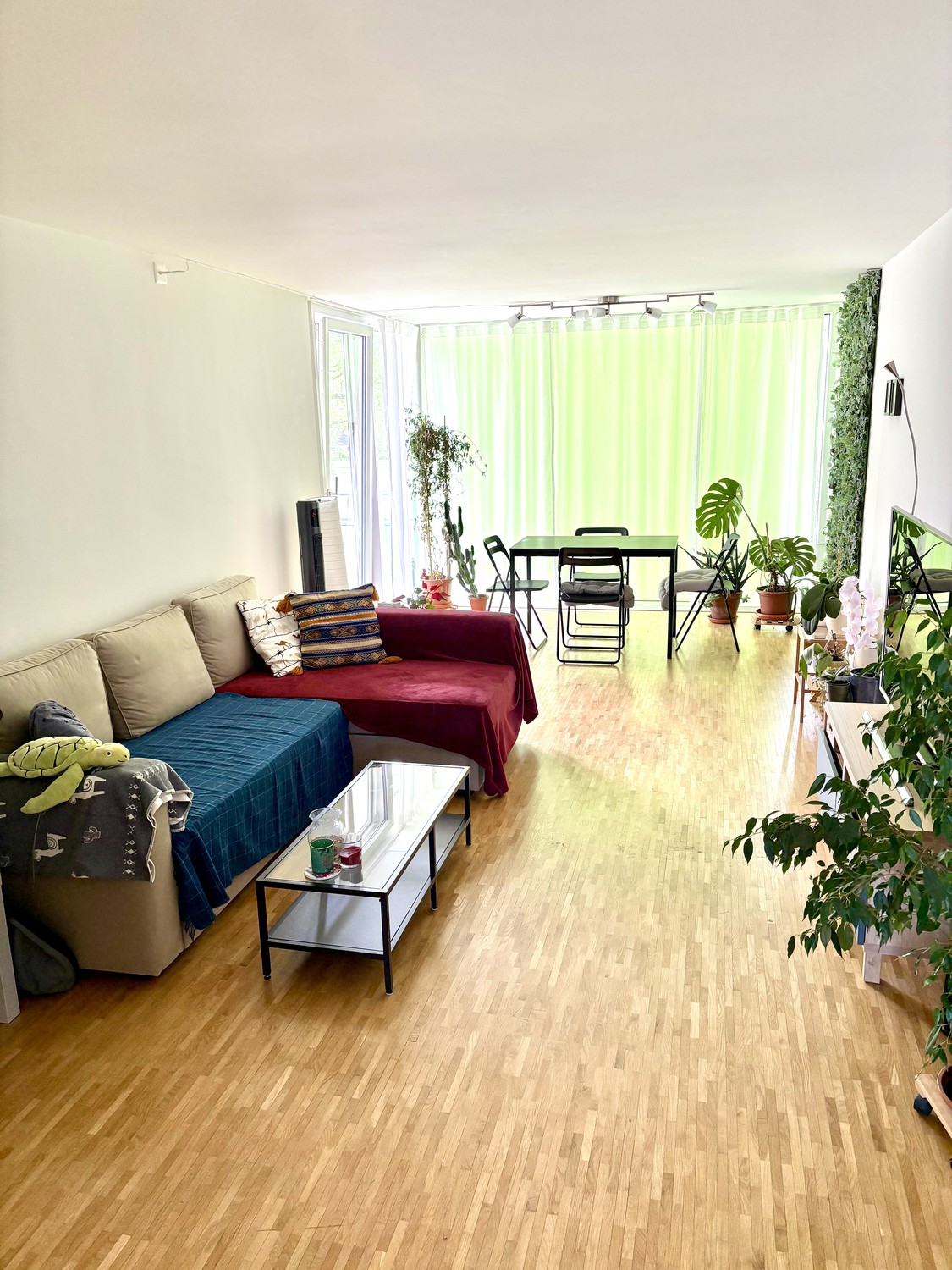 Room in a shared flat