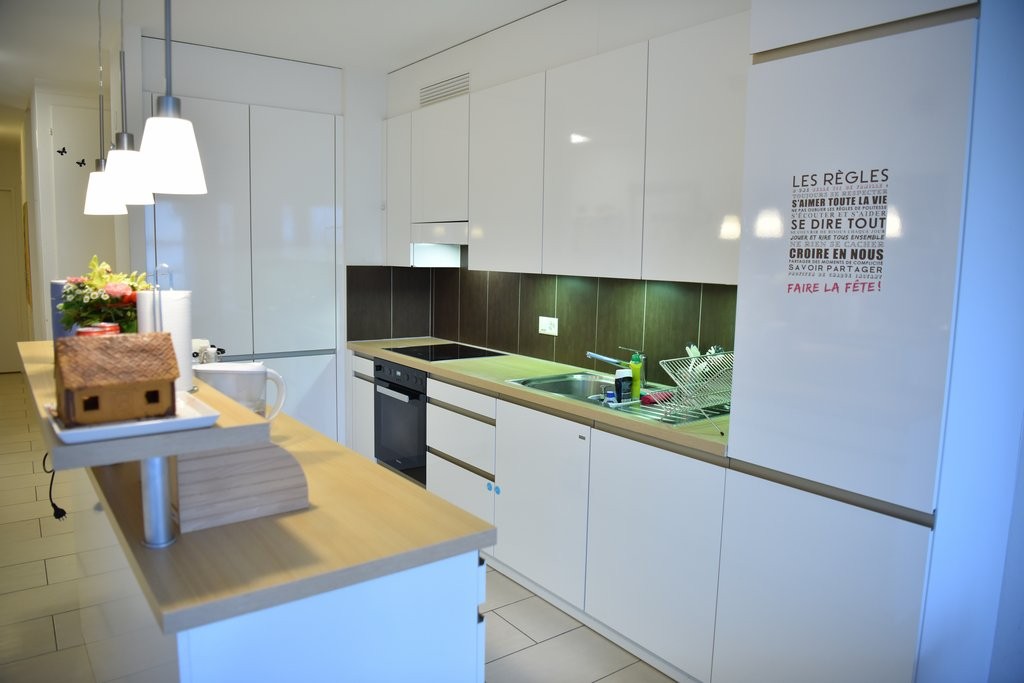 4 ½ rooms apartment (3)