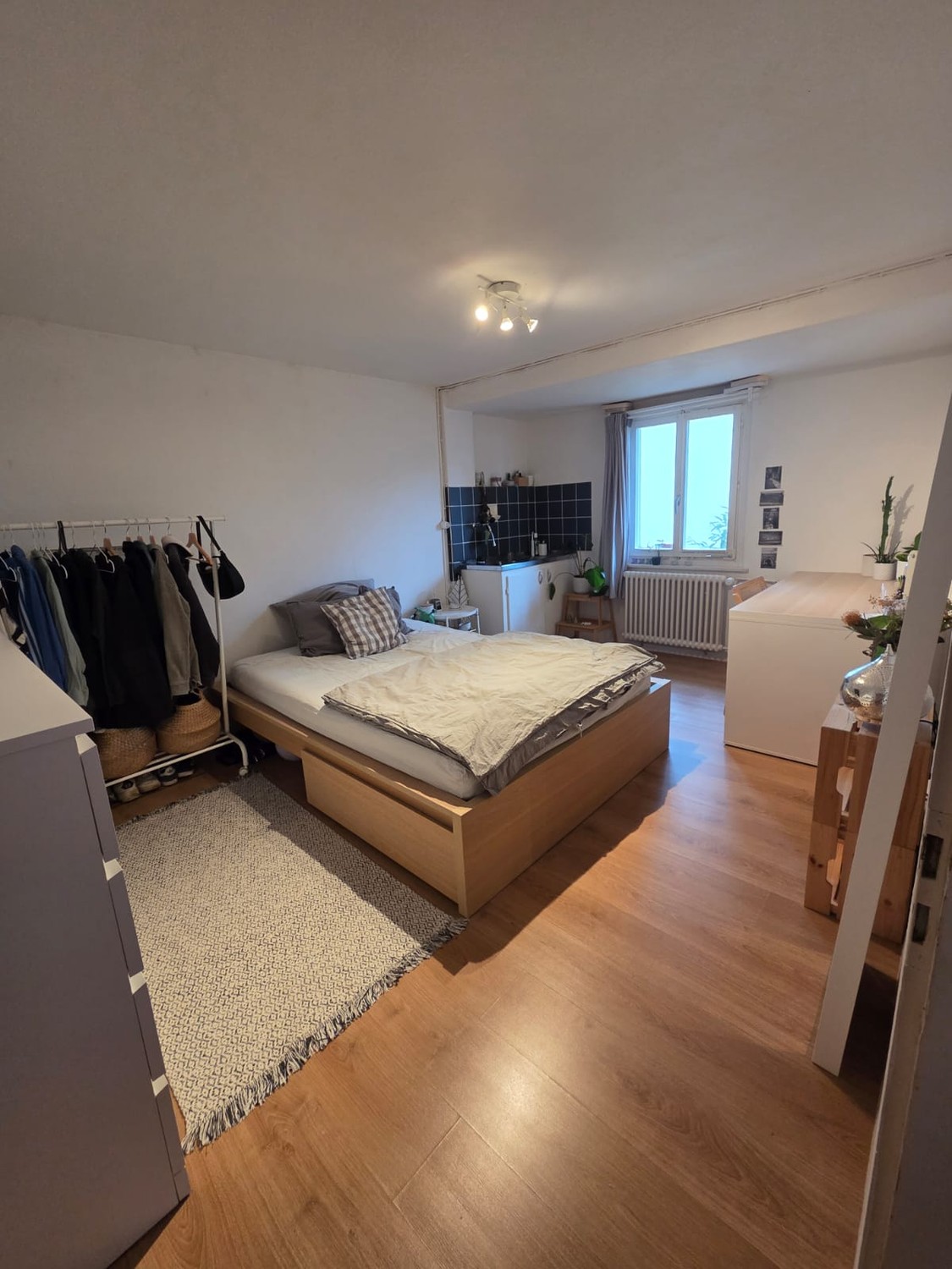Room in a shared flat