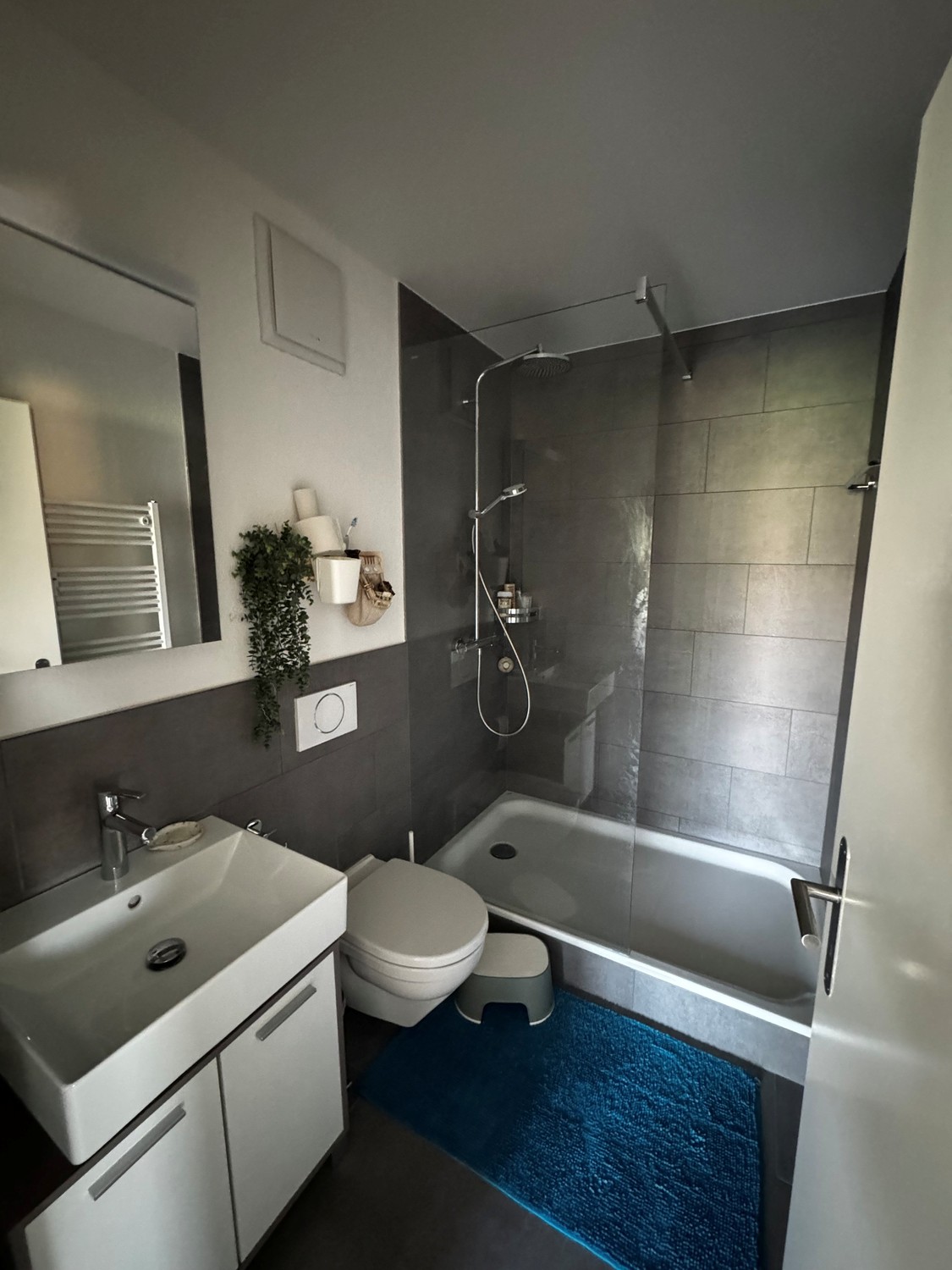 4 ½ room apartment