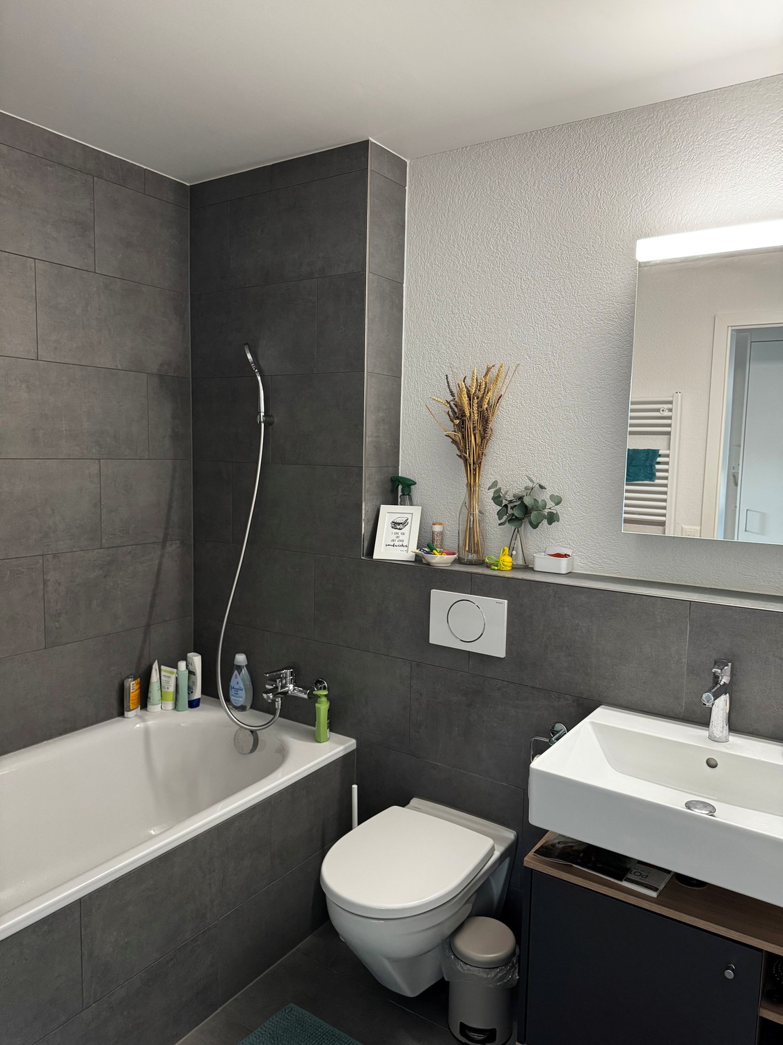 4 ½ room apartment