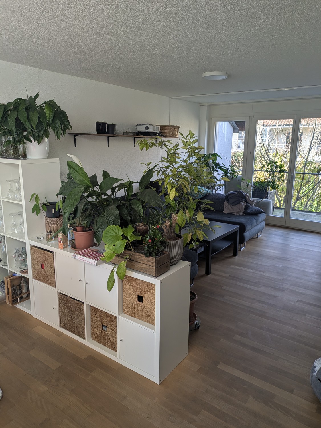 Room in a shared flat