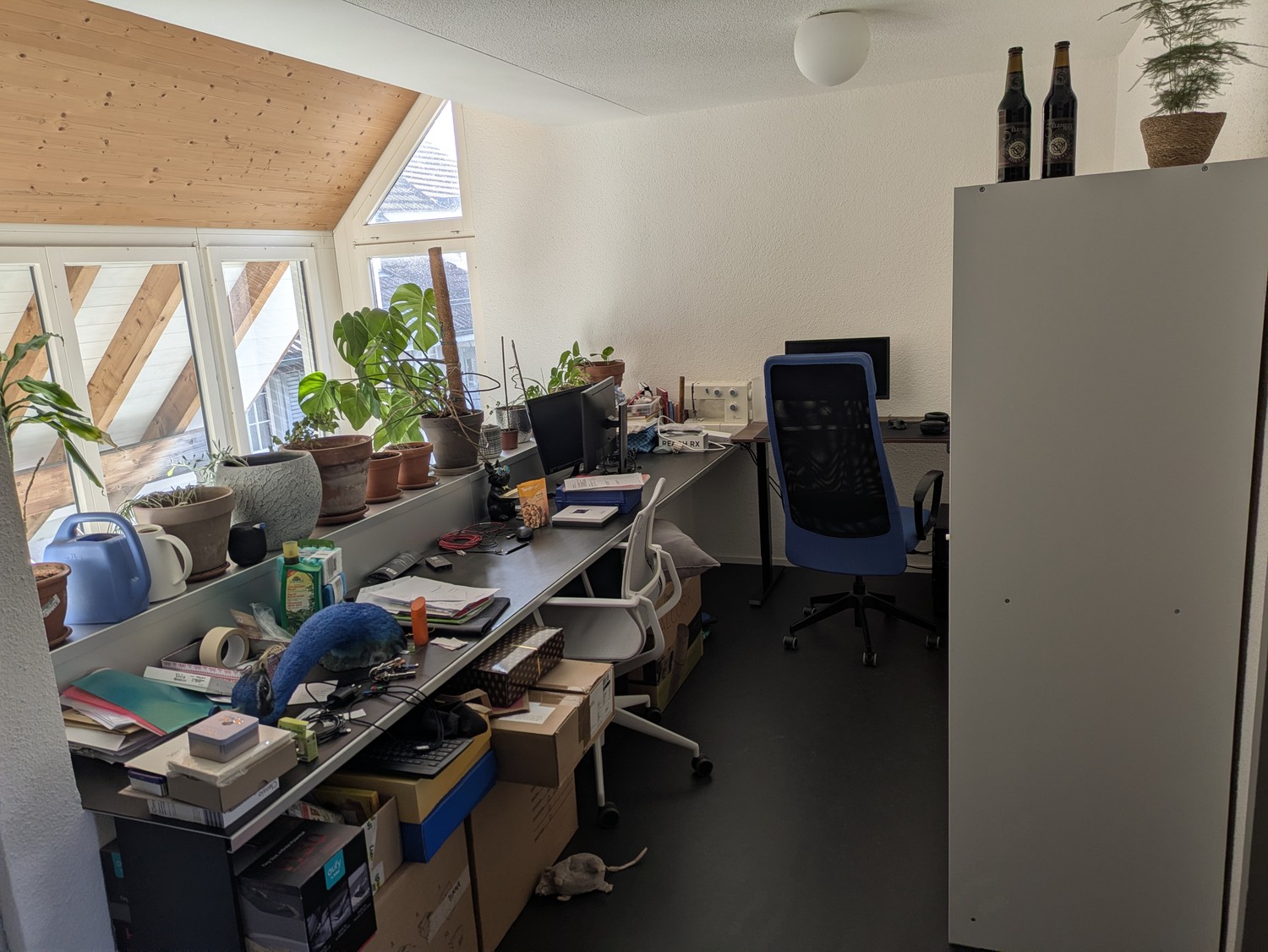 Room in a shared flat