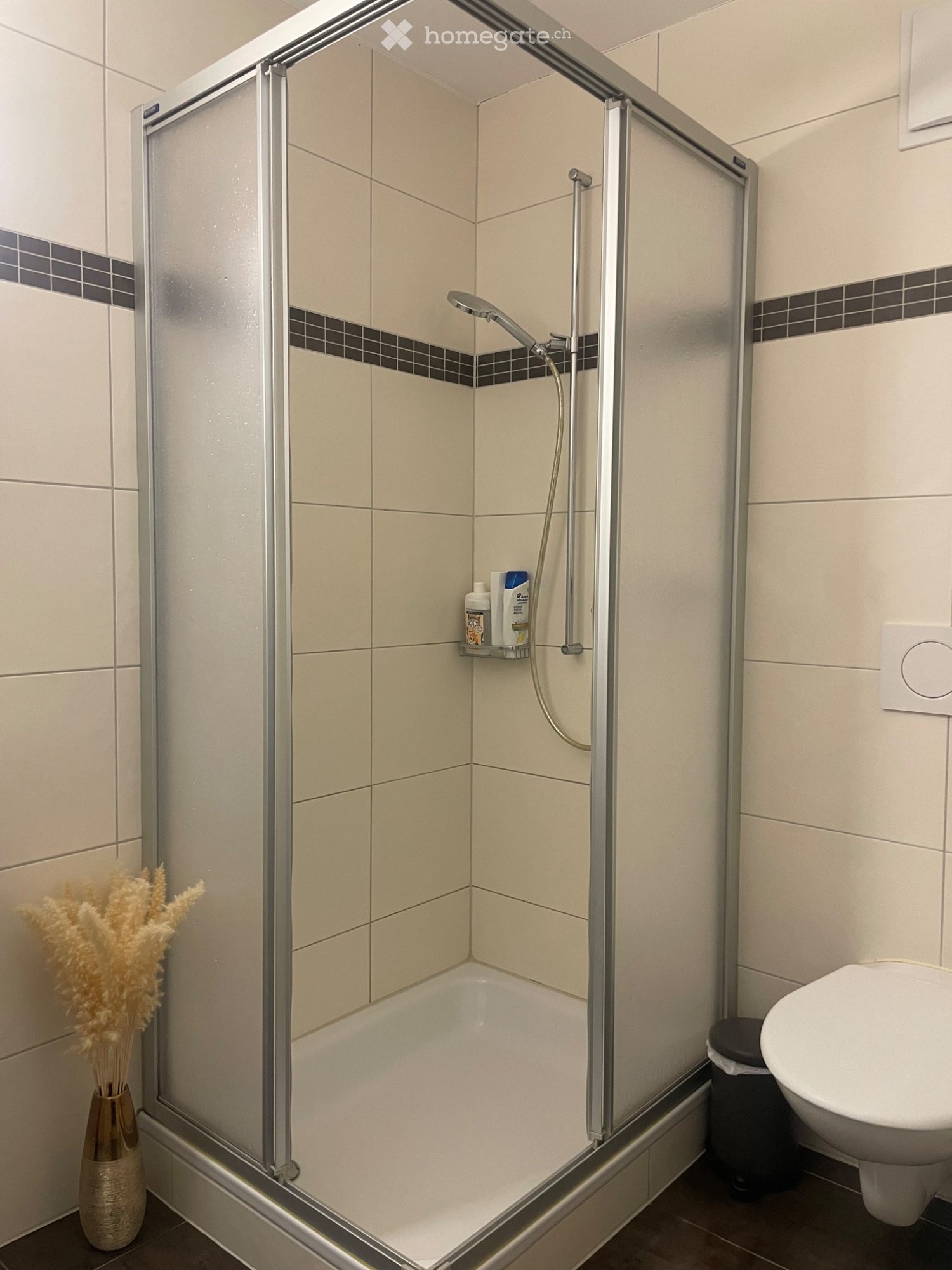 2 ½ Zimmer-Wohnung