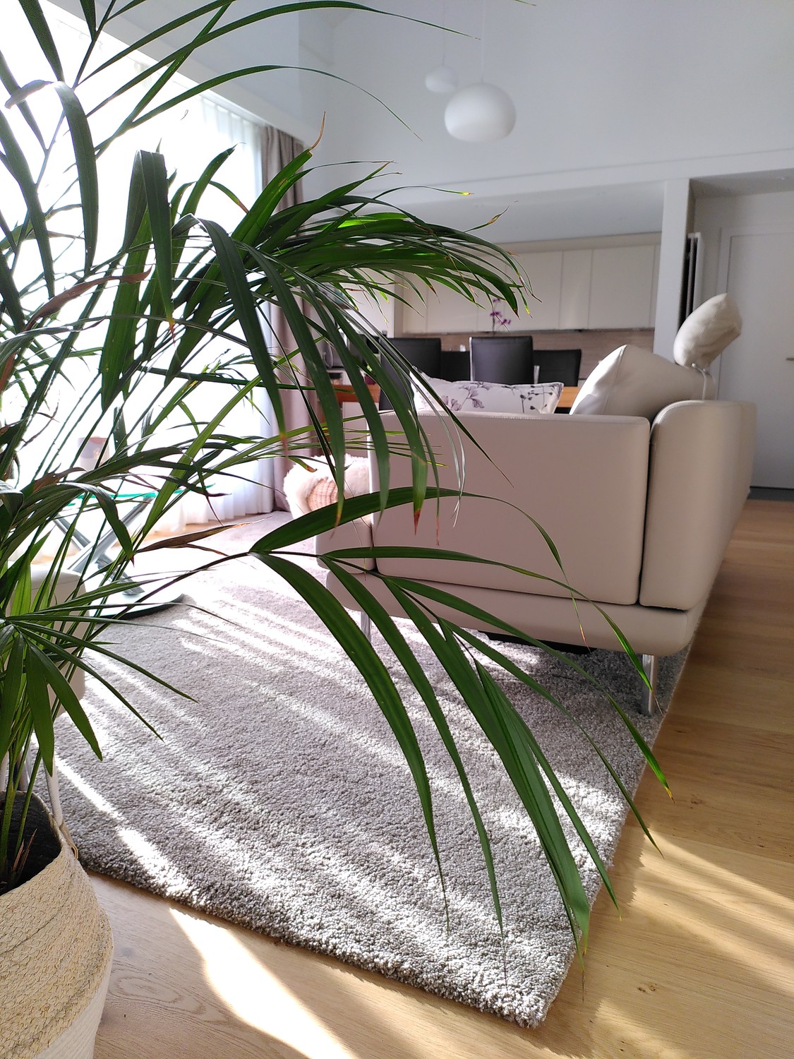 Appartement de 5 ½ pièces