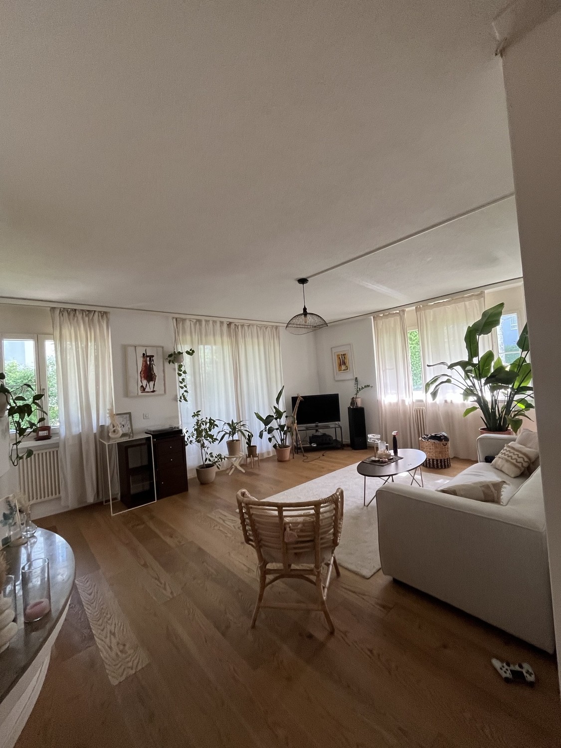 Appartamento di 3 ½ locali, foto 3 di 7