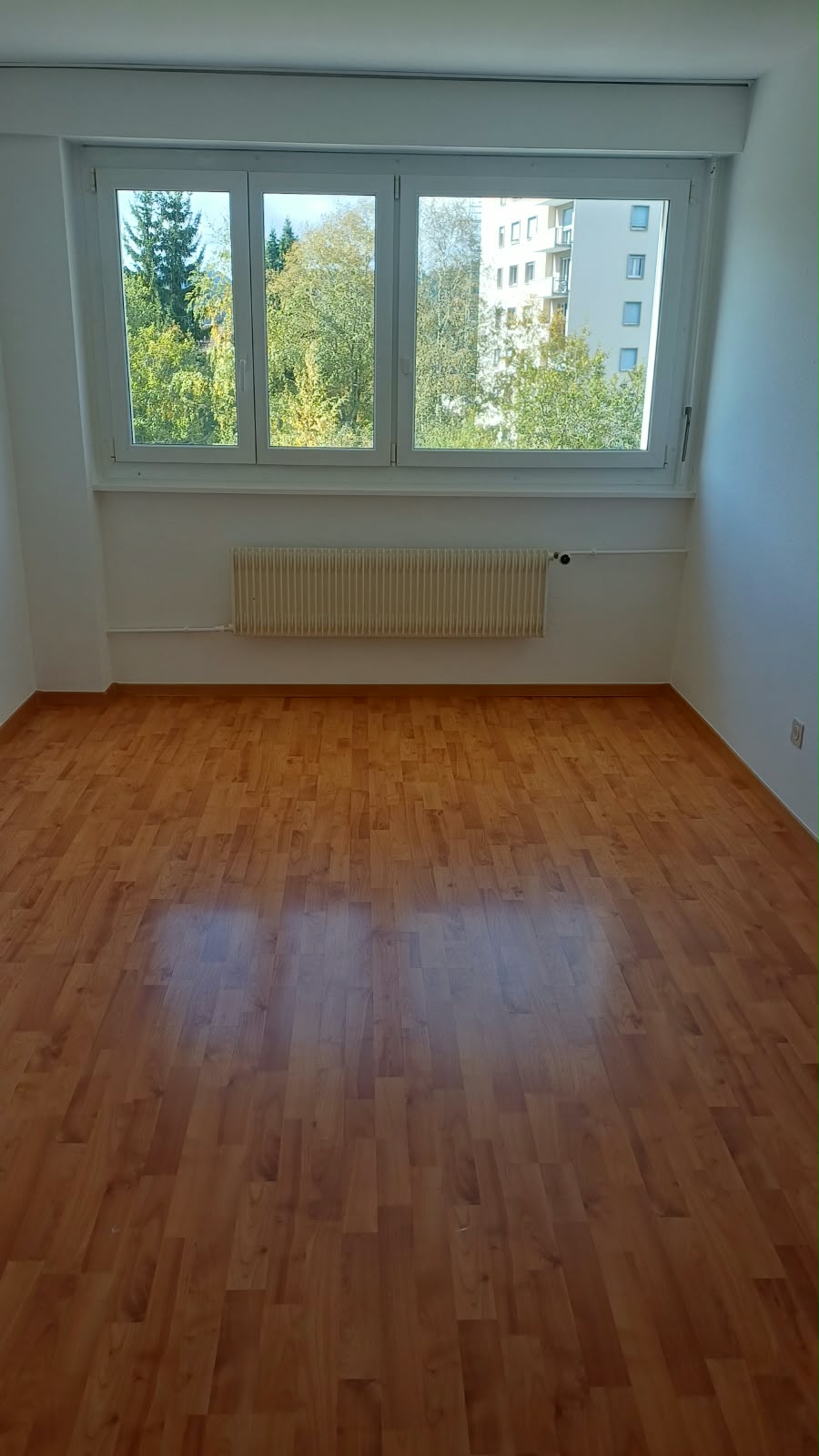 4-Zimmer-Wohnung