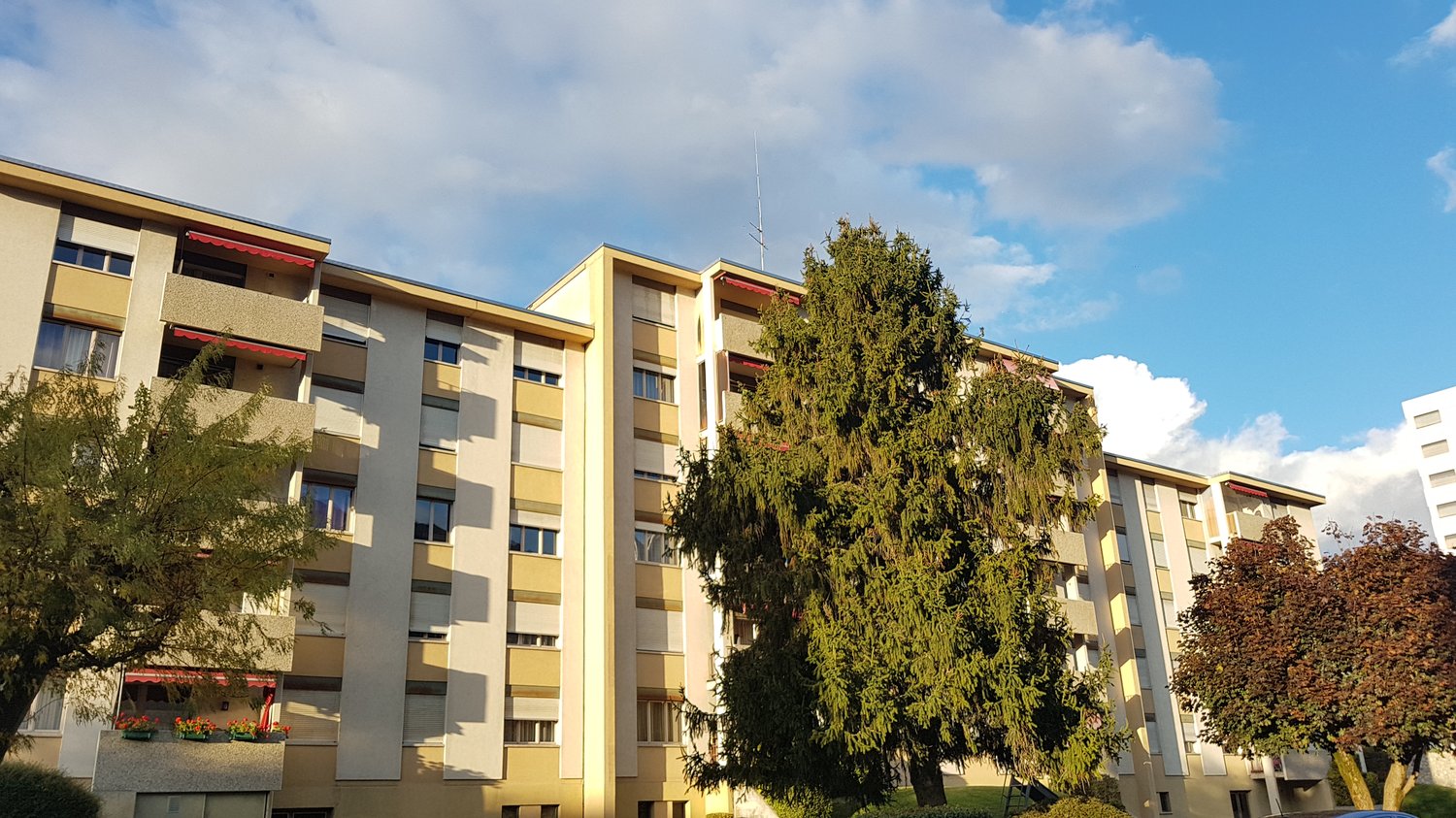 3 ½ Zimmer-Wohnung, Foto 2 von 10