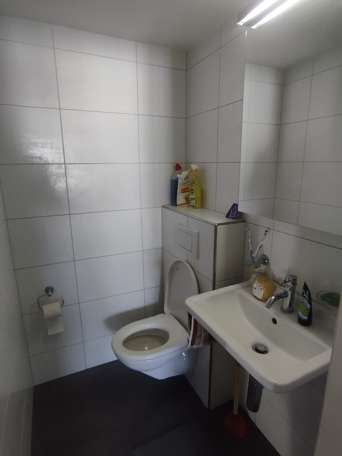 Room in a shared flat
