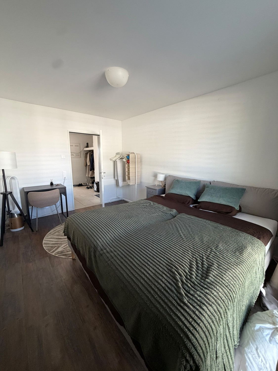 Room in a shared flat