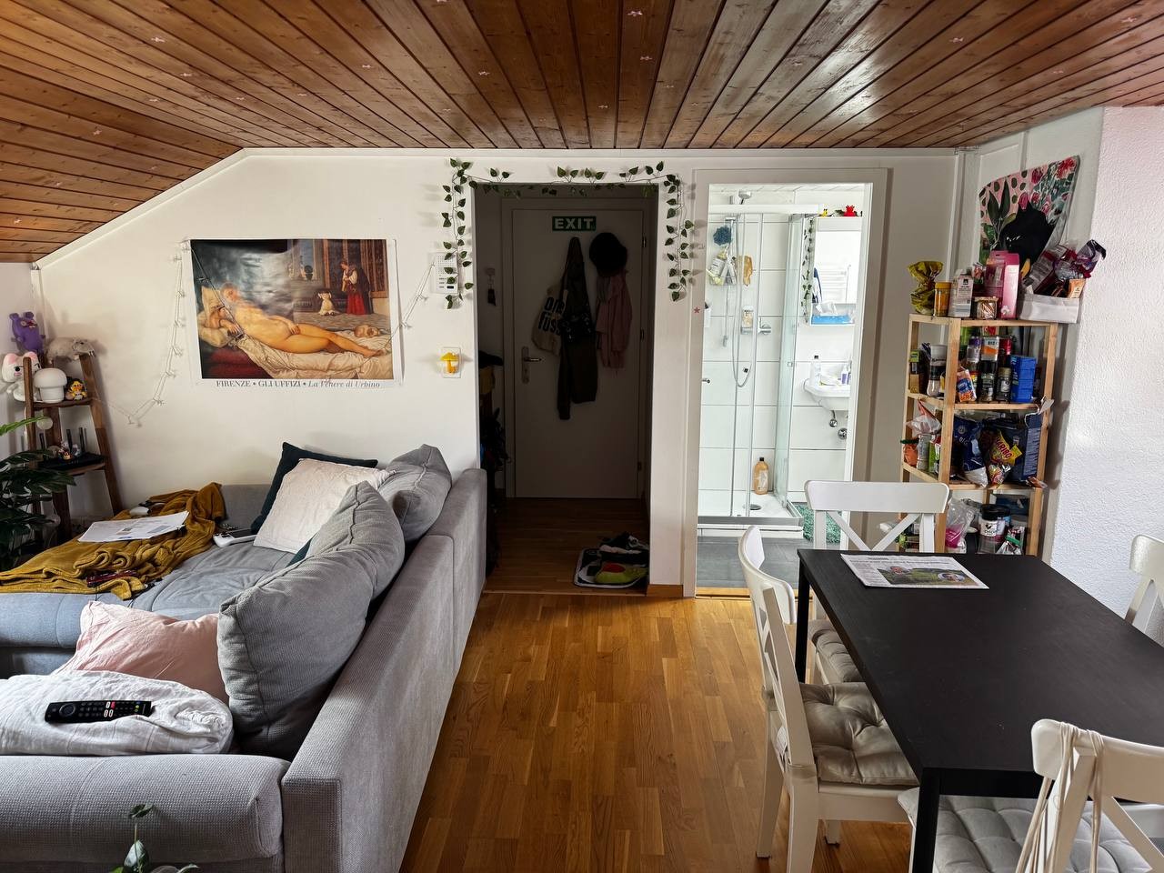 Appartement de 2 ½ pièces