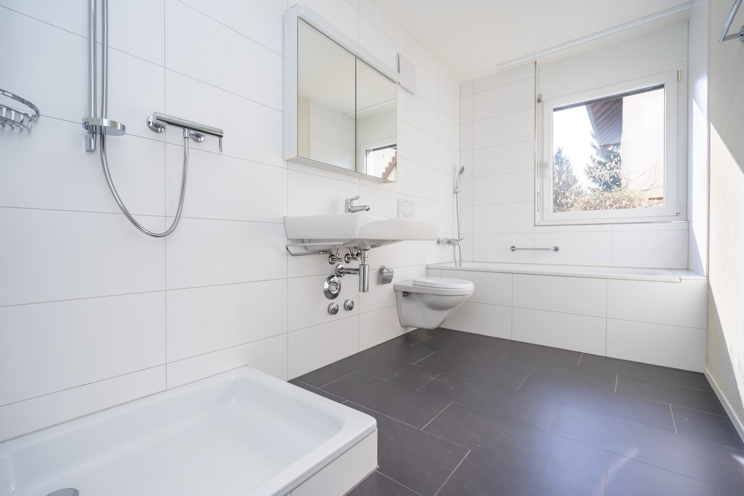 3 ½ rooms apartment (6)