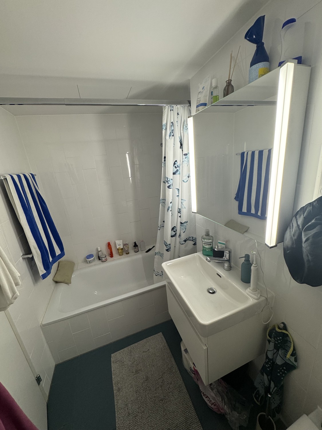 2 ½ rooms apartment