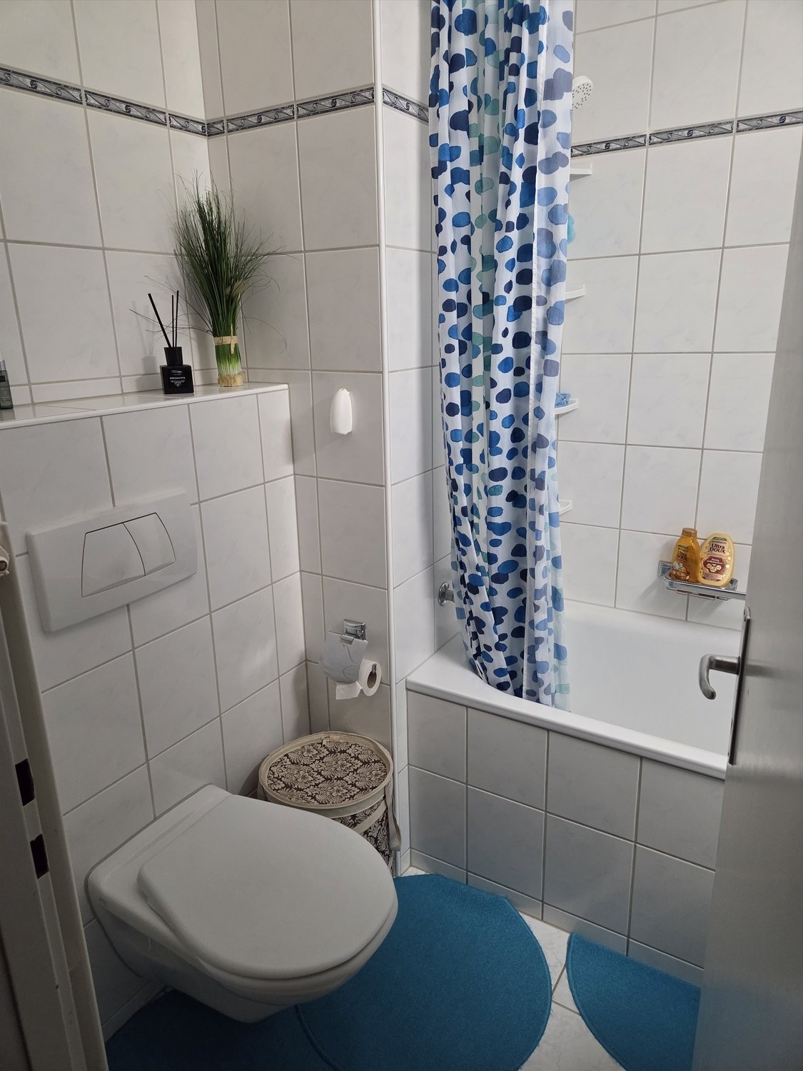 3 ½ rooms apartment (5)
