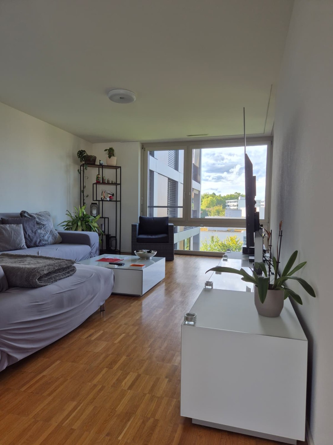 Room in a shared flat, Foto 1 von 8