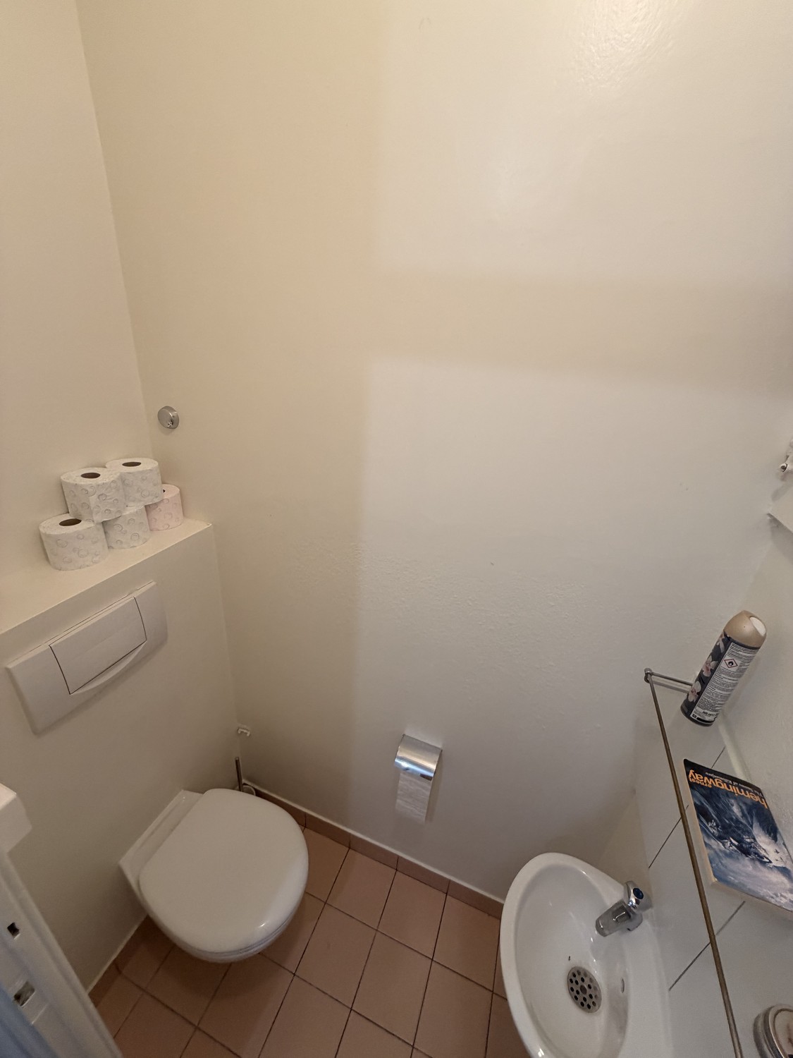 2 ½ rooms apartment
