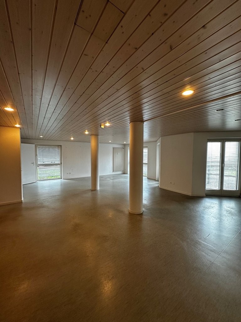53m² commerciale