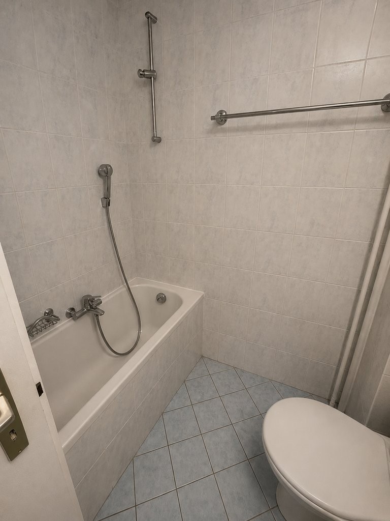 3 ½ rooms apartment (5)