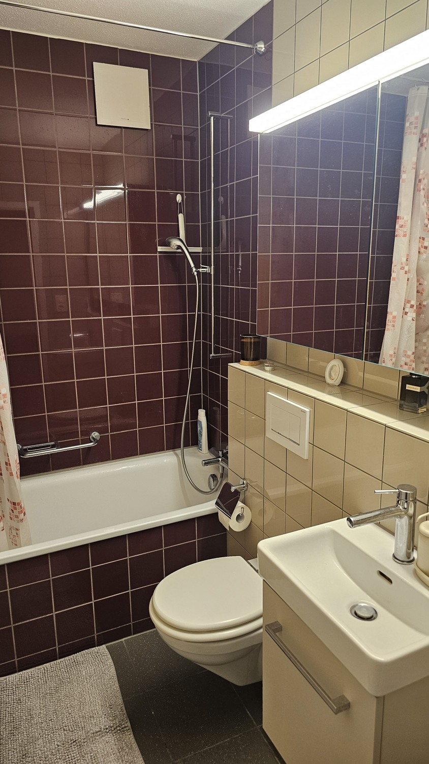 2 ½ Zimmer-Wohnung