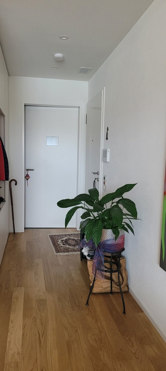 2 ½ rooms furnished flat, Foto 7 von 7