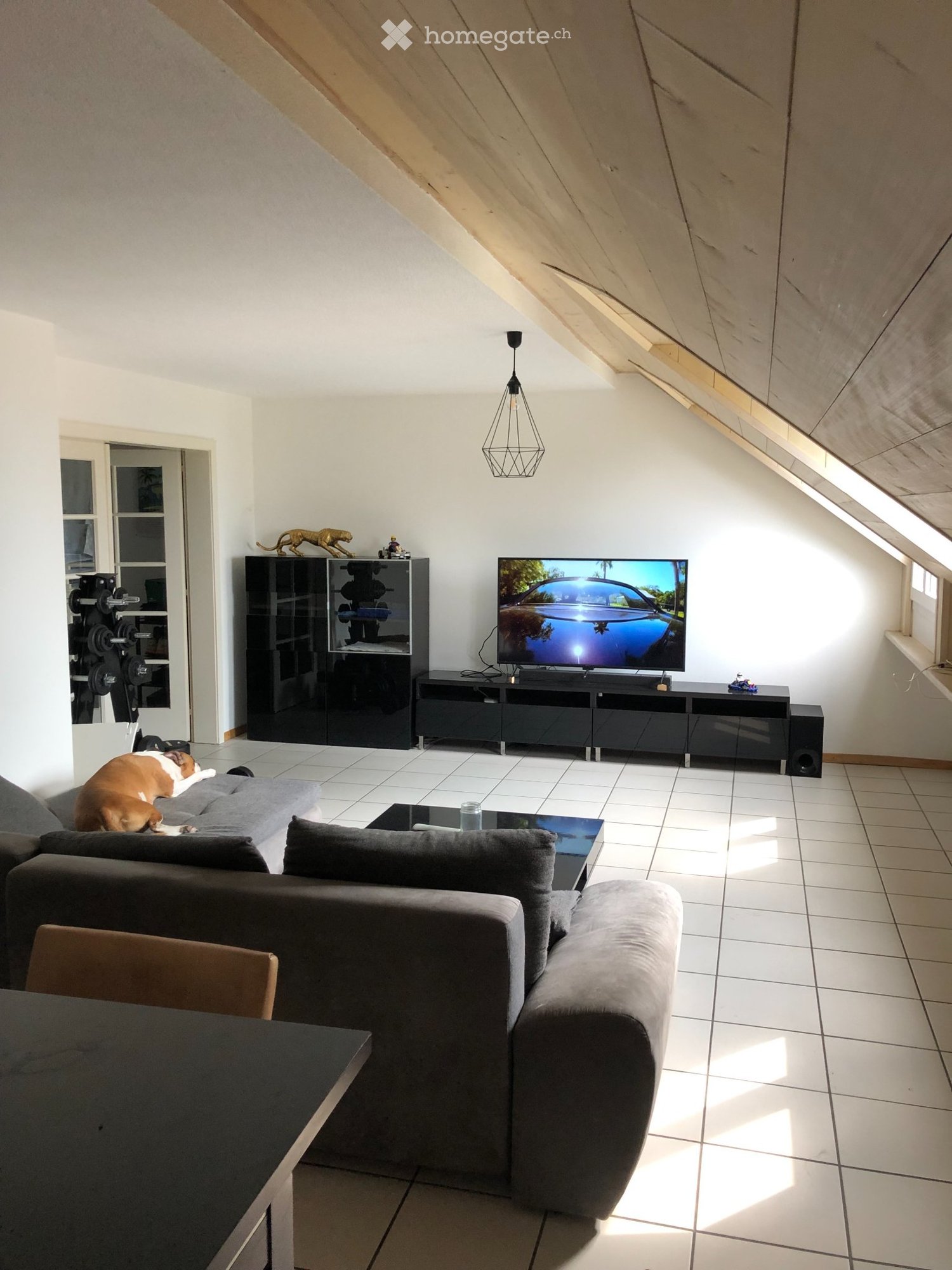 1 Zimmer Einzelzimmer