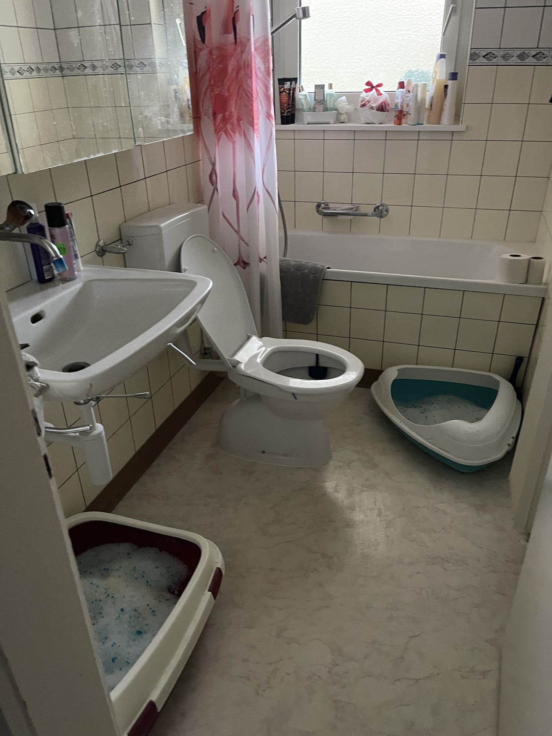 2 rooms apartment, Foto 3 von 4